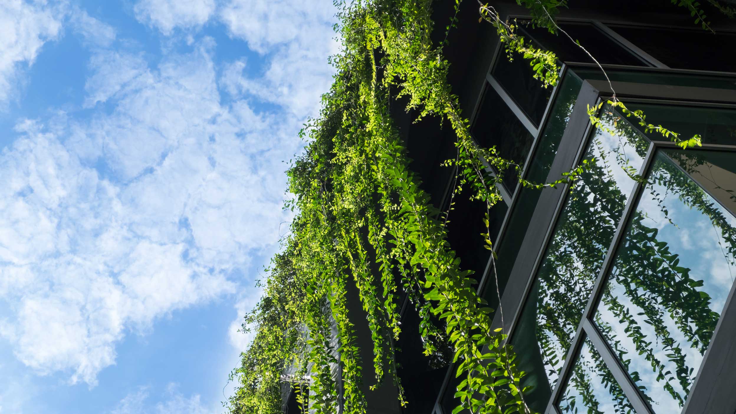 Climate Risk Regulations