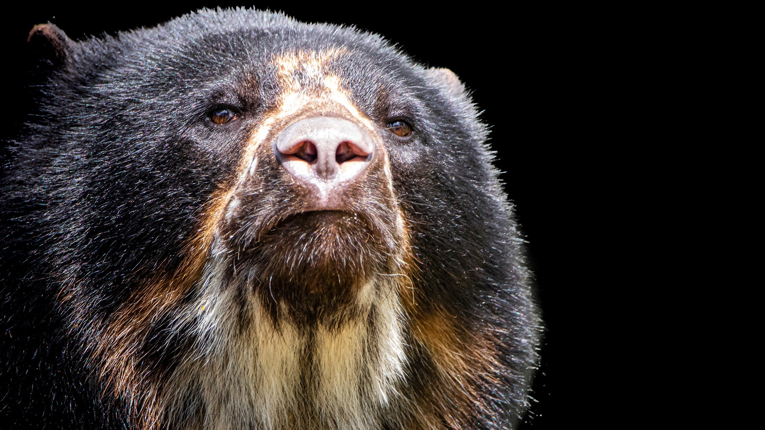 EMLD World Tour May 2021: Bearish on Peru and highest growth in a decade