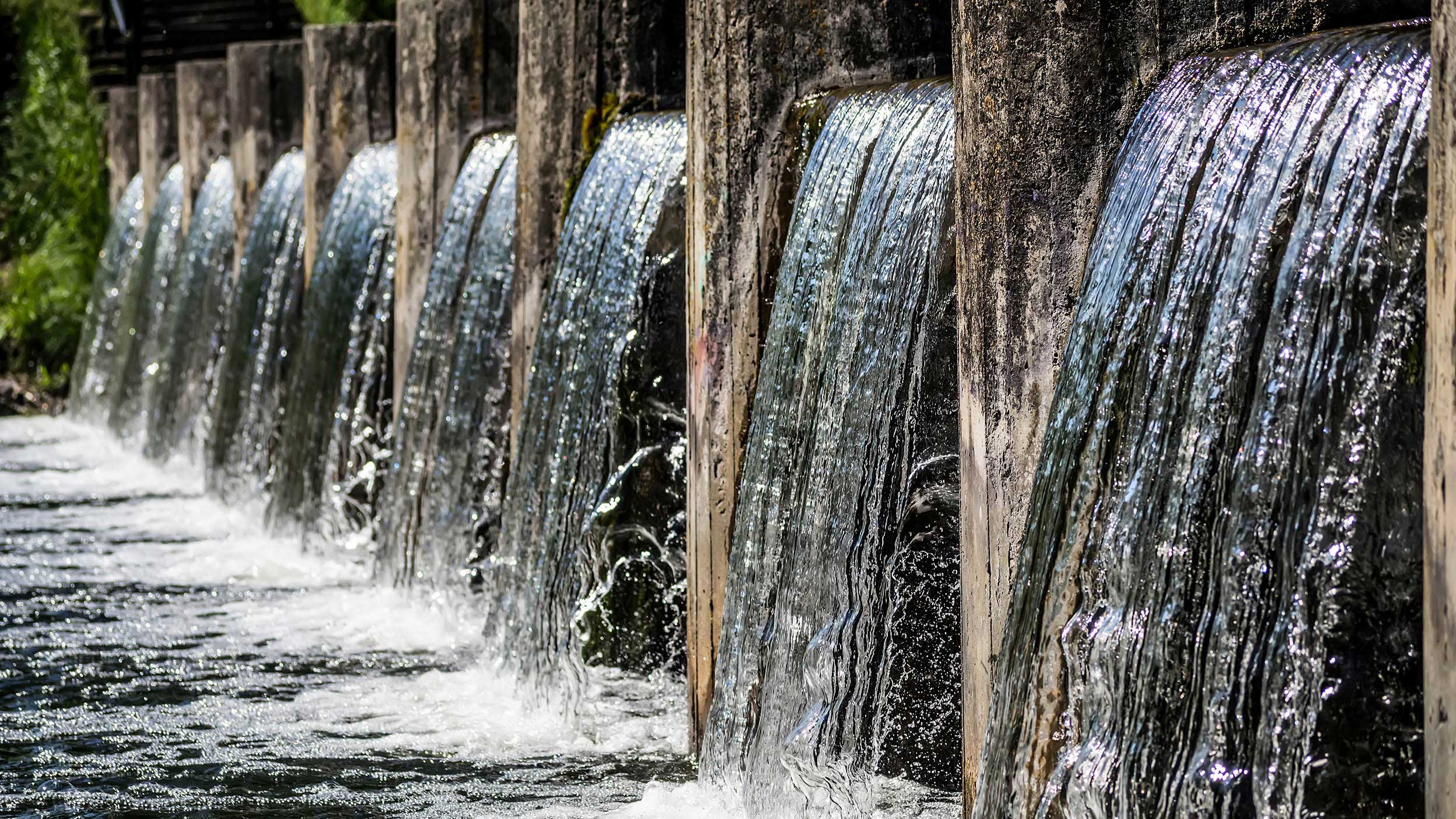 Unsere ESG-Evolution: von der Integration zur weiteren Förderung