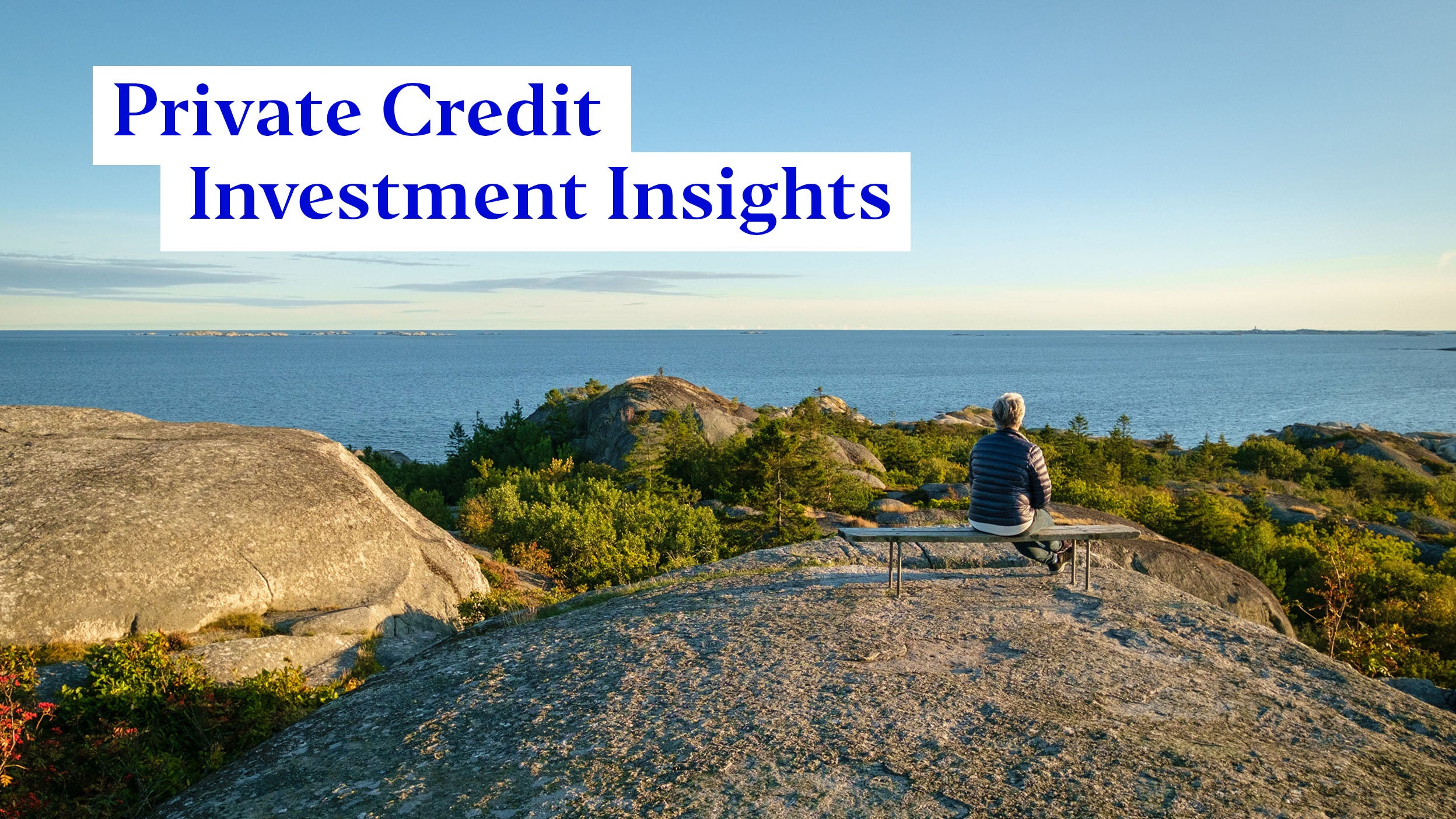 Private Credit Investment insights