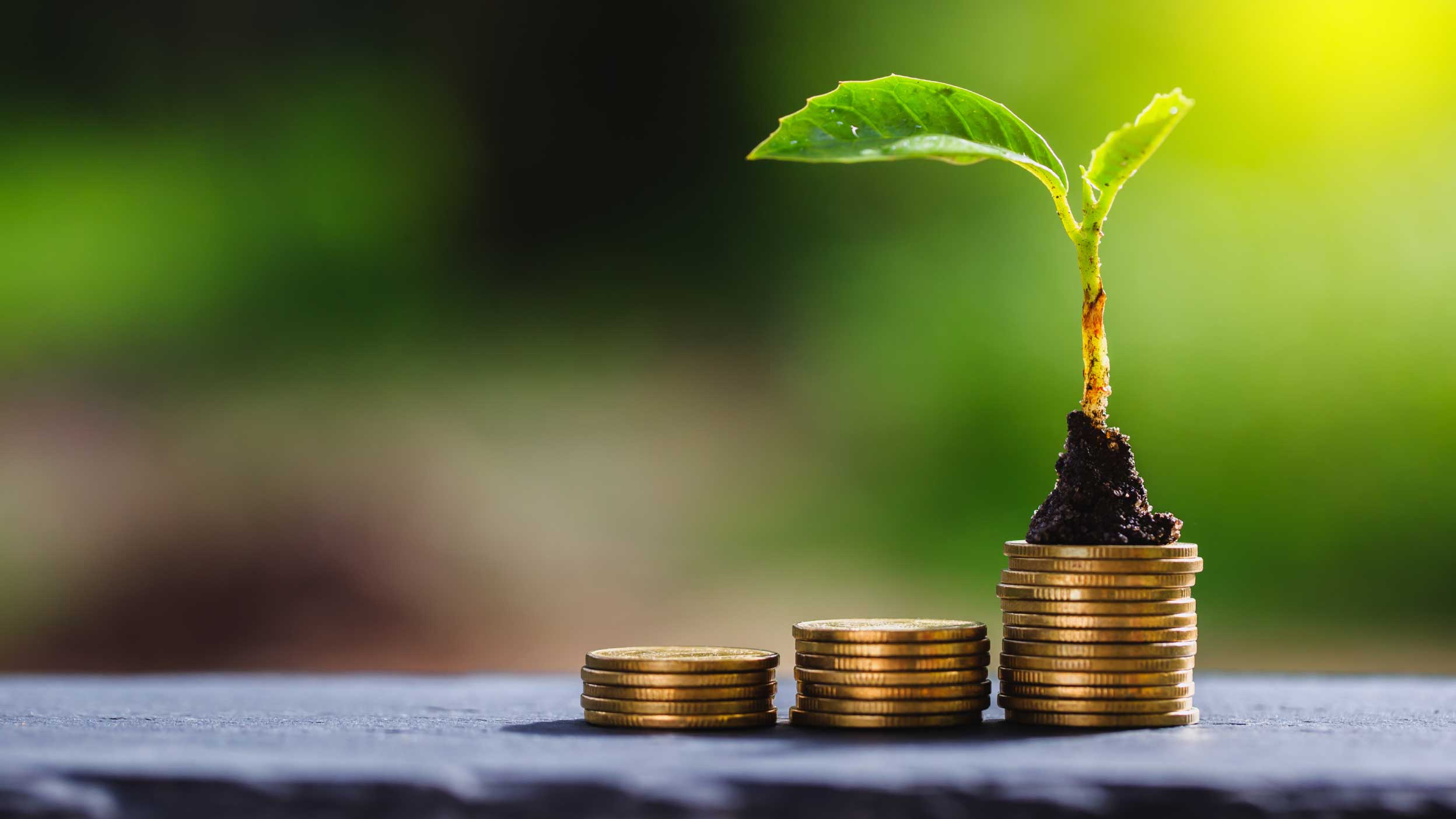 European Equities: a transition mindset on sustainable investing