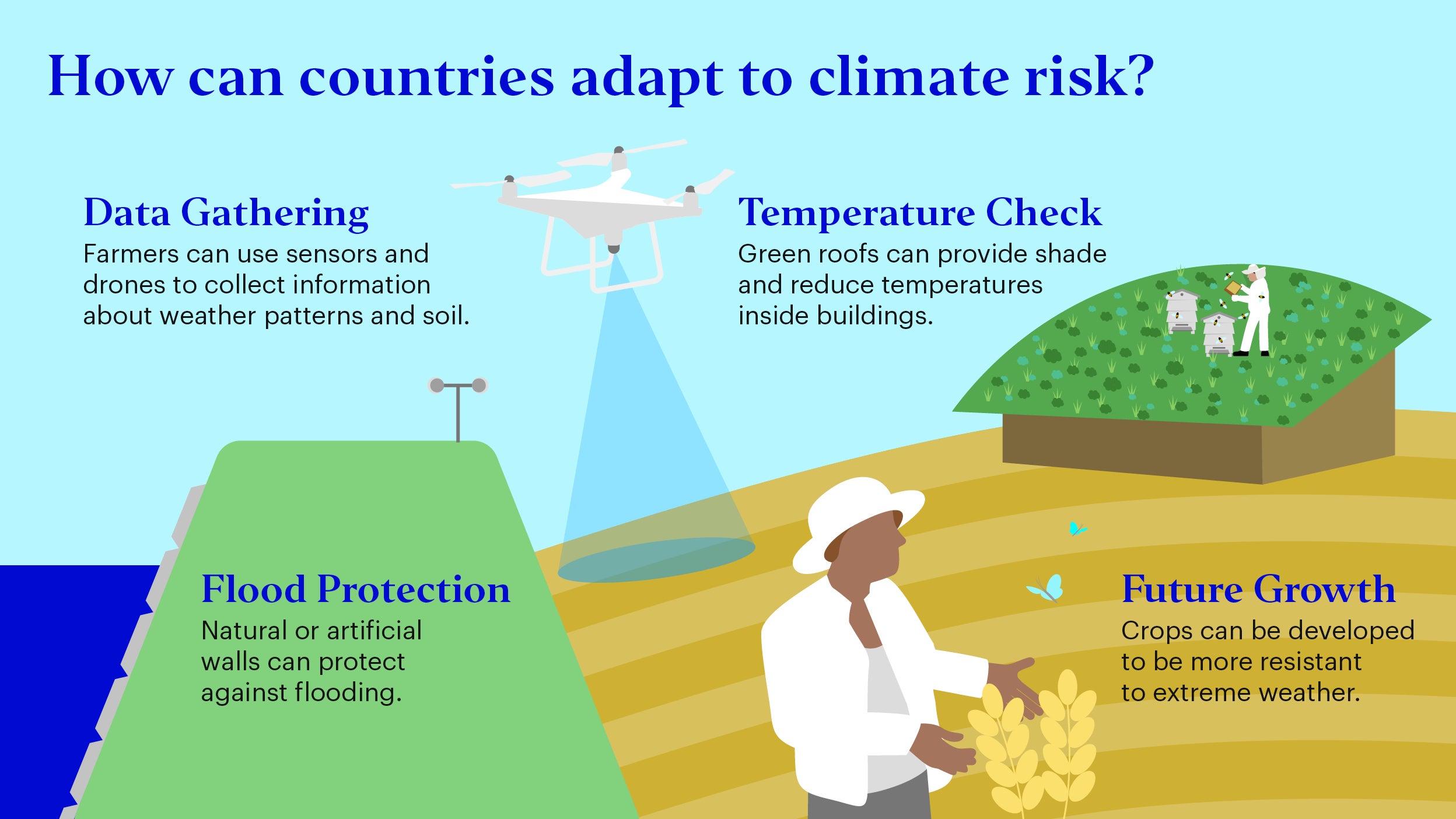 How can countries adapt to climate risk?