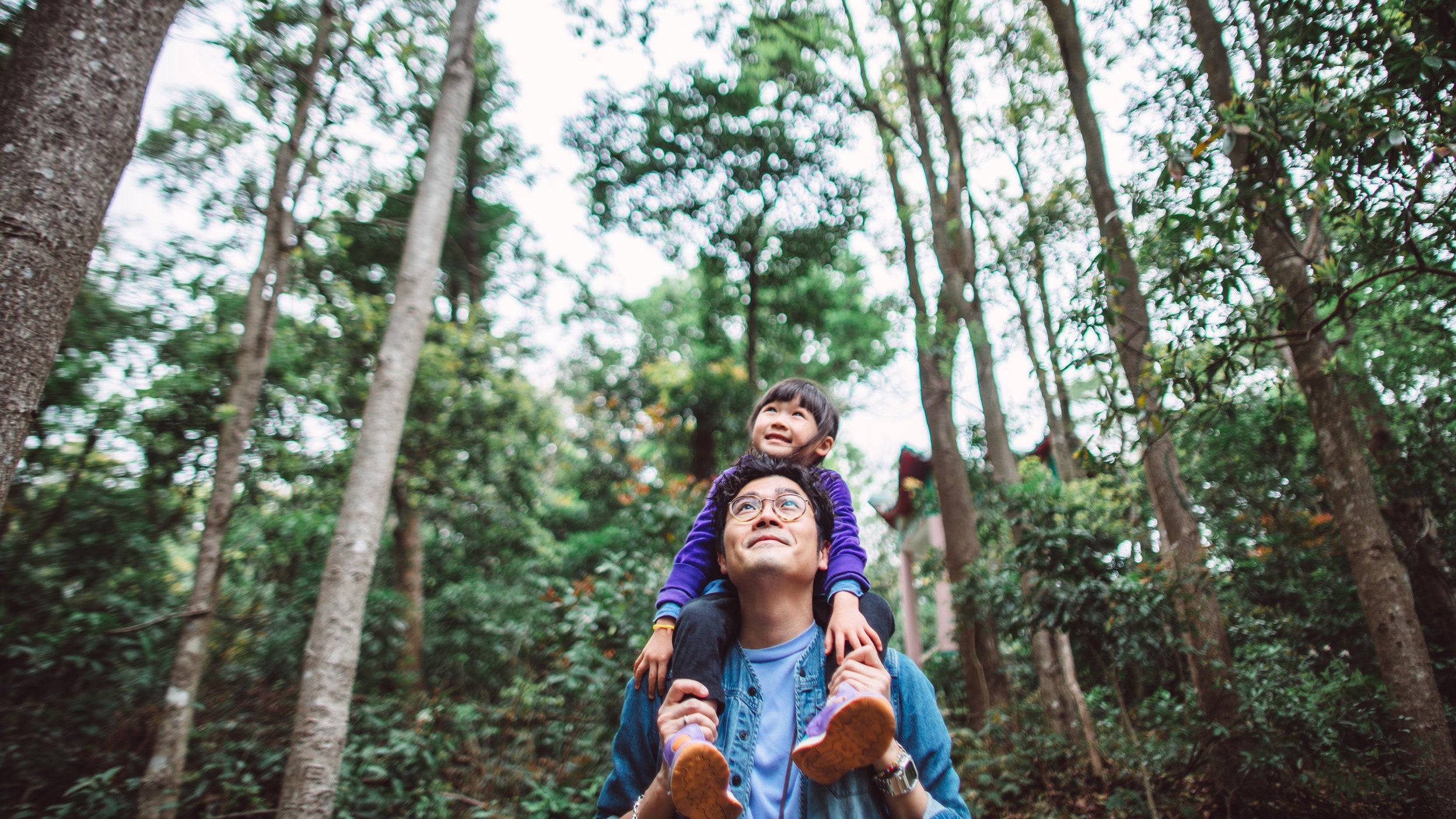 Lovely little girl riding joyfully on her young daddy’s shoulder while they are hiking in forest.