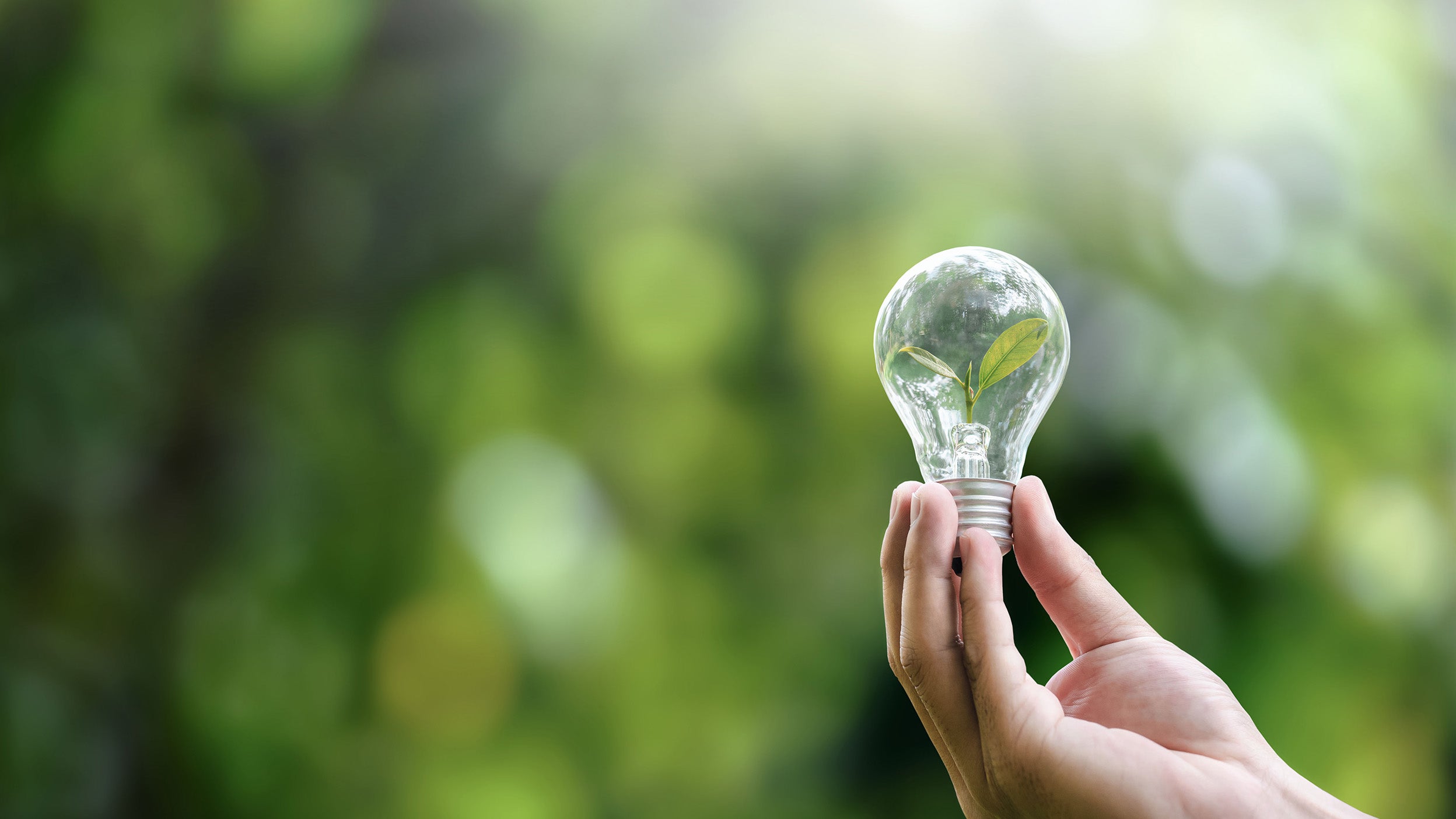 How to align ESG intentions with results: an introduction to new Invesco research