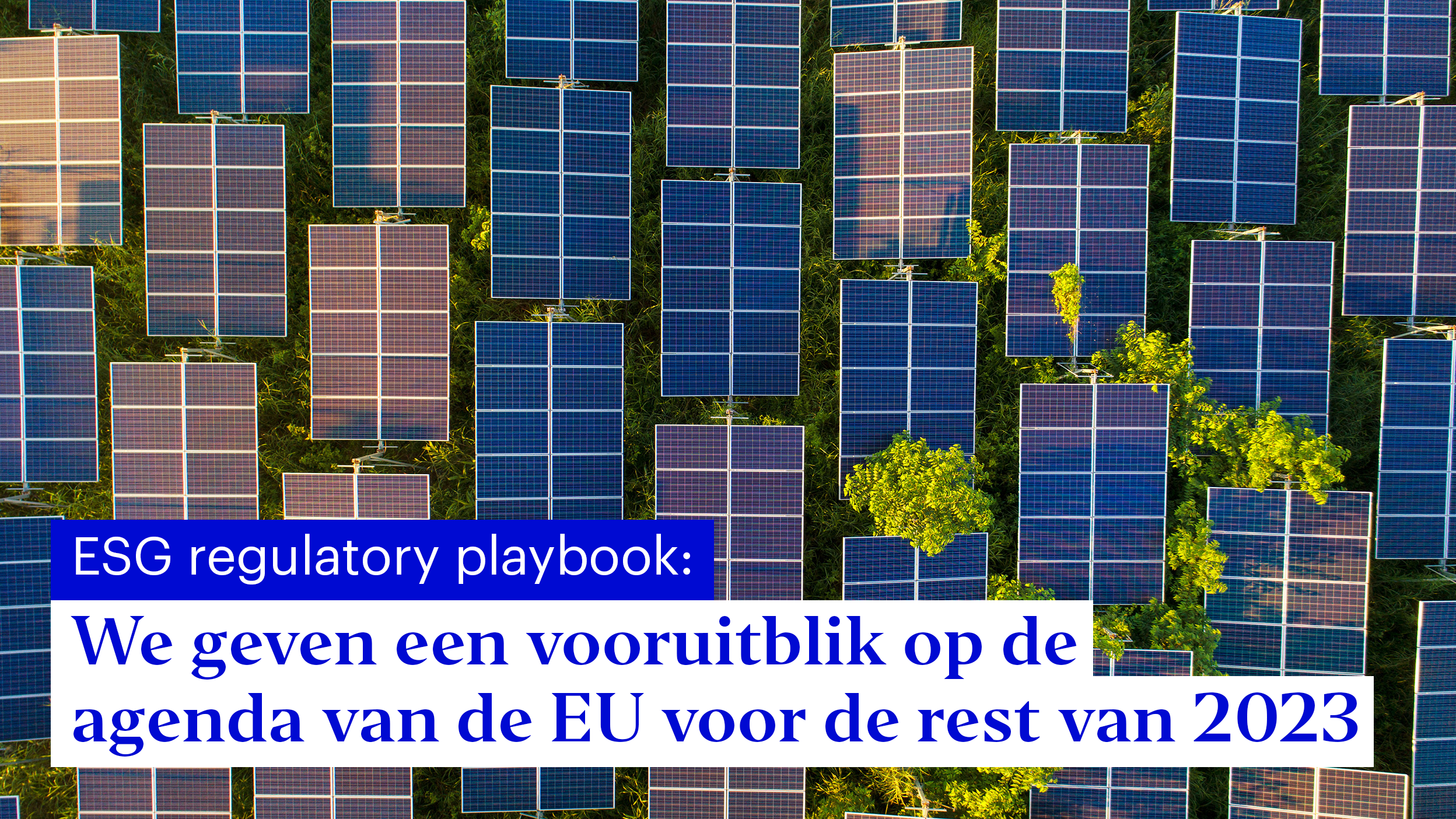 ESG regulatory playbook: Moet u zich zorgen maken over mogelijke groene handelsbarrières?