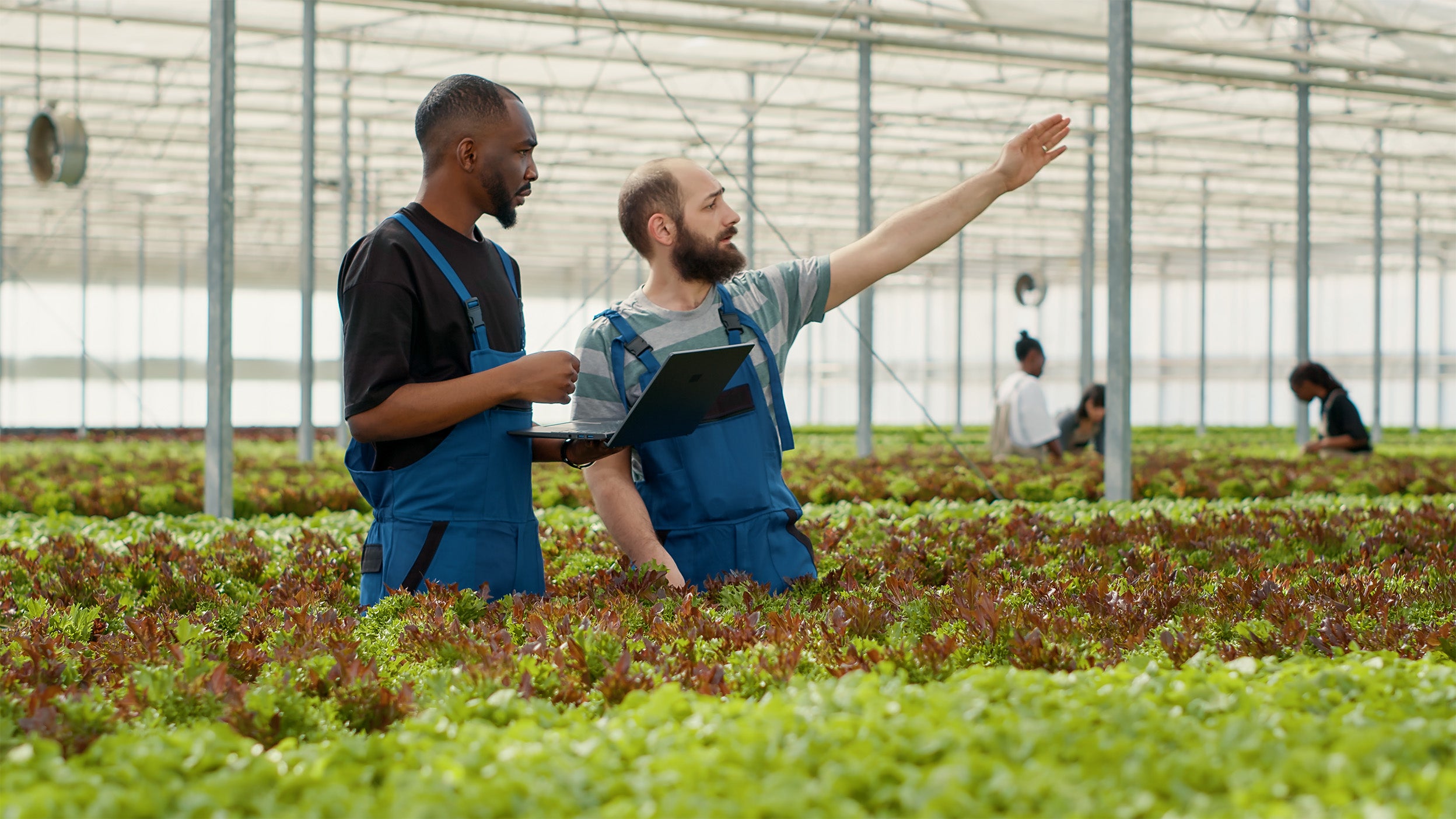 Von Ernährung zur Nachhaltigkeit: Umgestaltung des Ernährungssystems zur Bewältigung globaler Herausforderungen