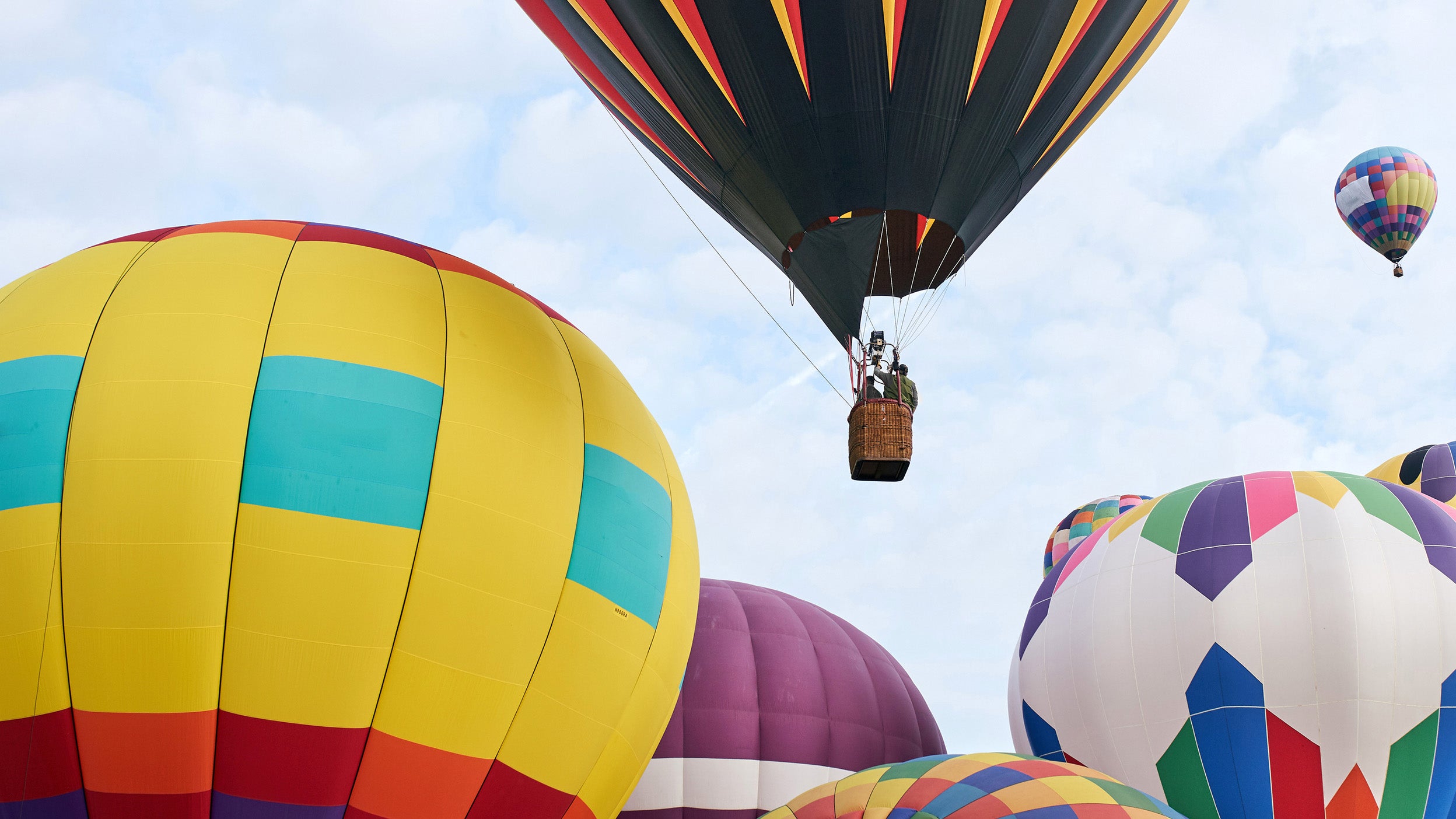 Colorful hot air balloons gathered together, with one balloon lifting off into the sky.
