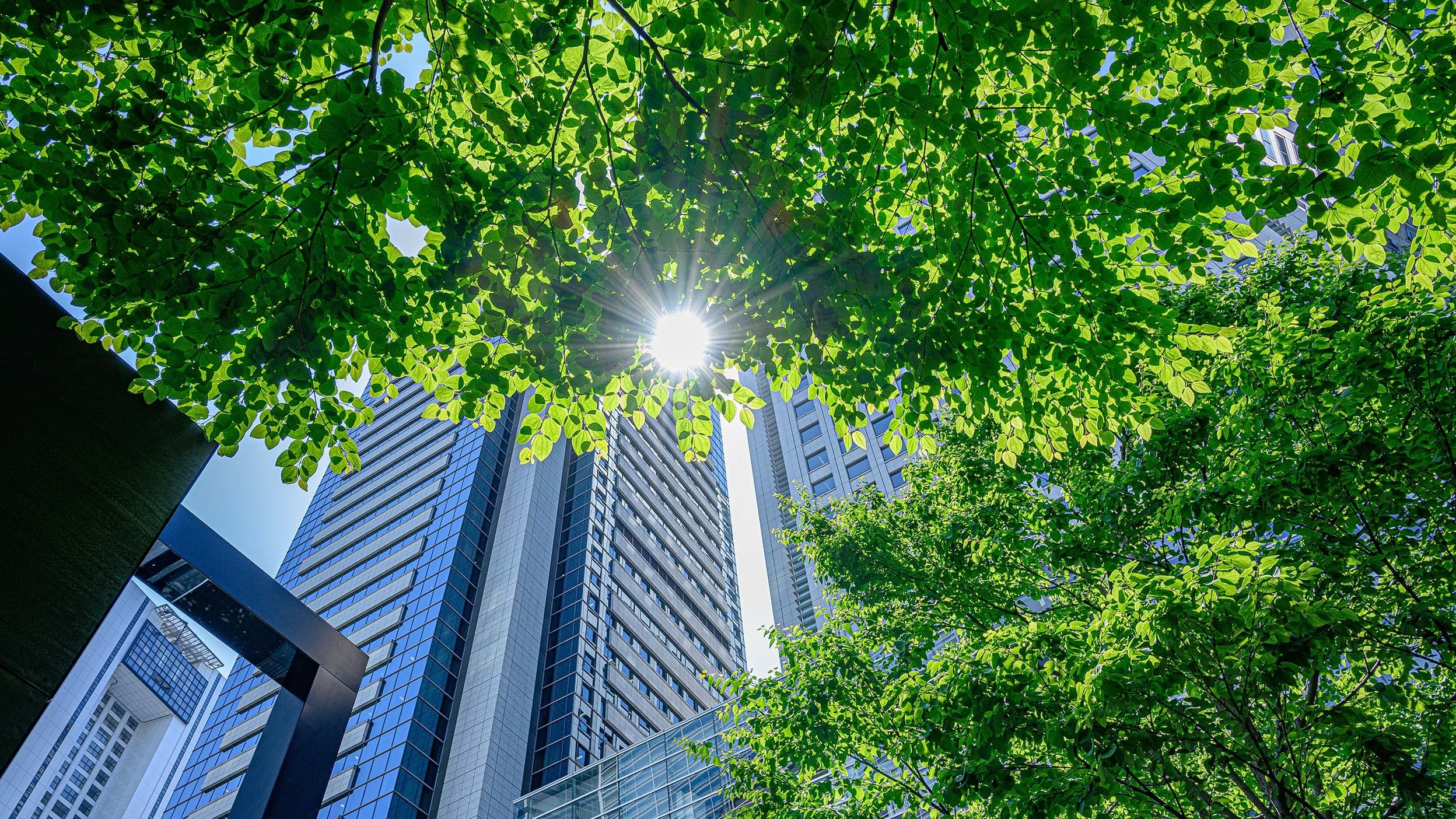 Key regulatory developments