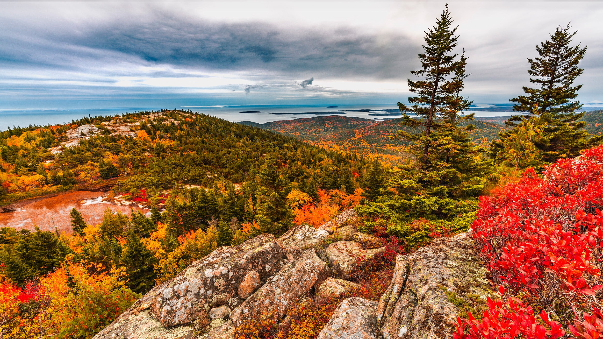 Orange red and yellow colors of the trees and plants in Acadia National Park 