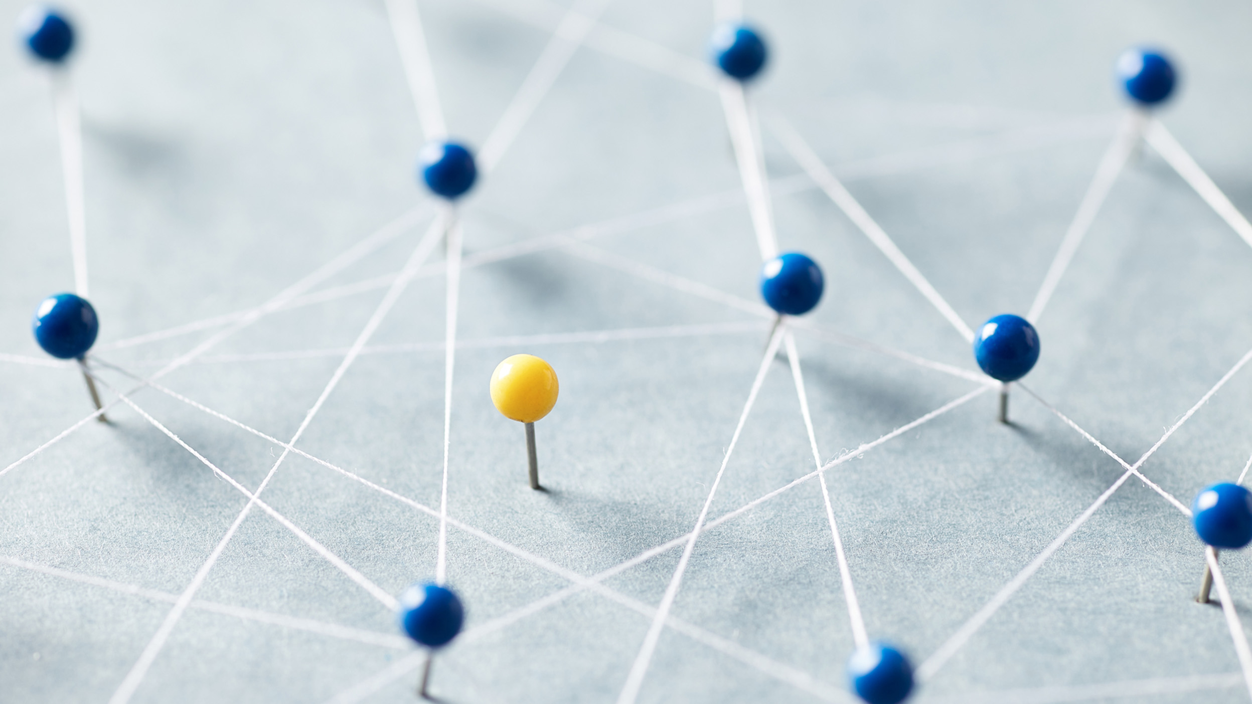 Connected network of pins and threads with one highlighted node, representing oversight and relationships within a complex system.