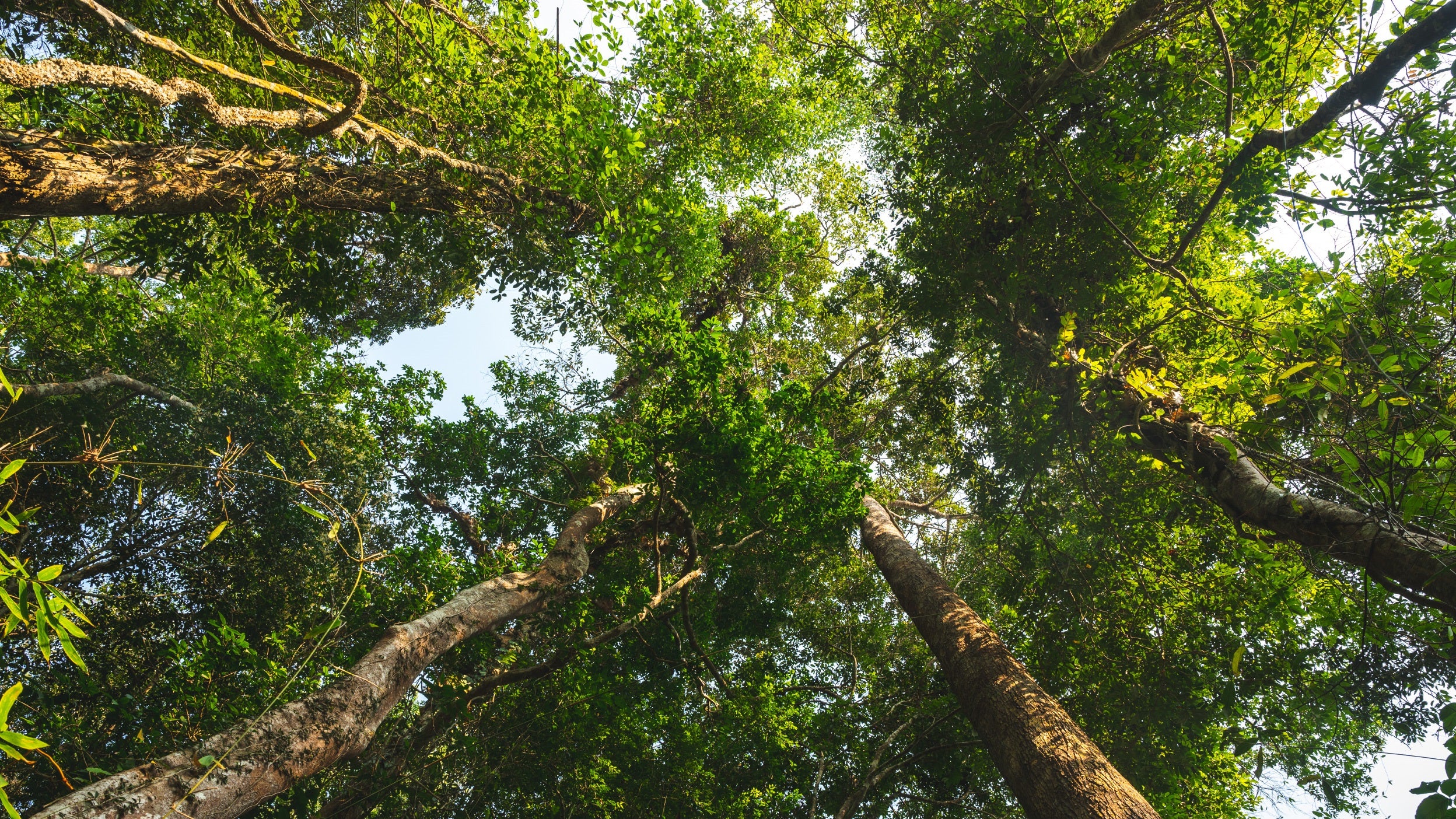 Understanding ESG