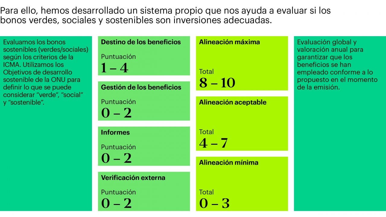 Proceso de inversión - Sistema de bonos sostenibles