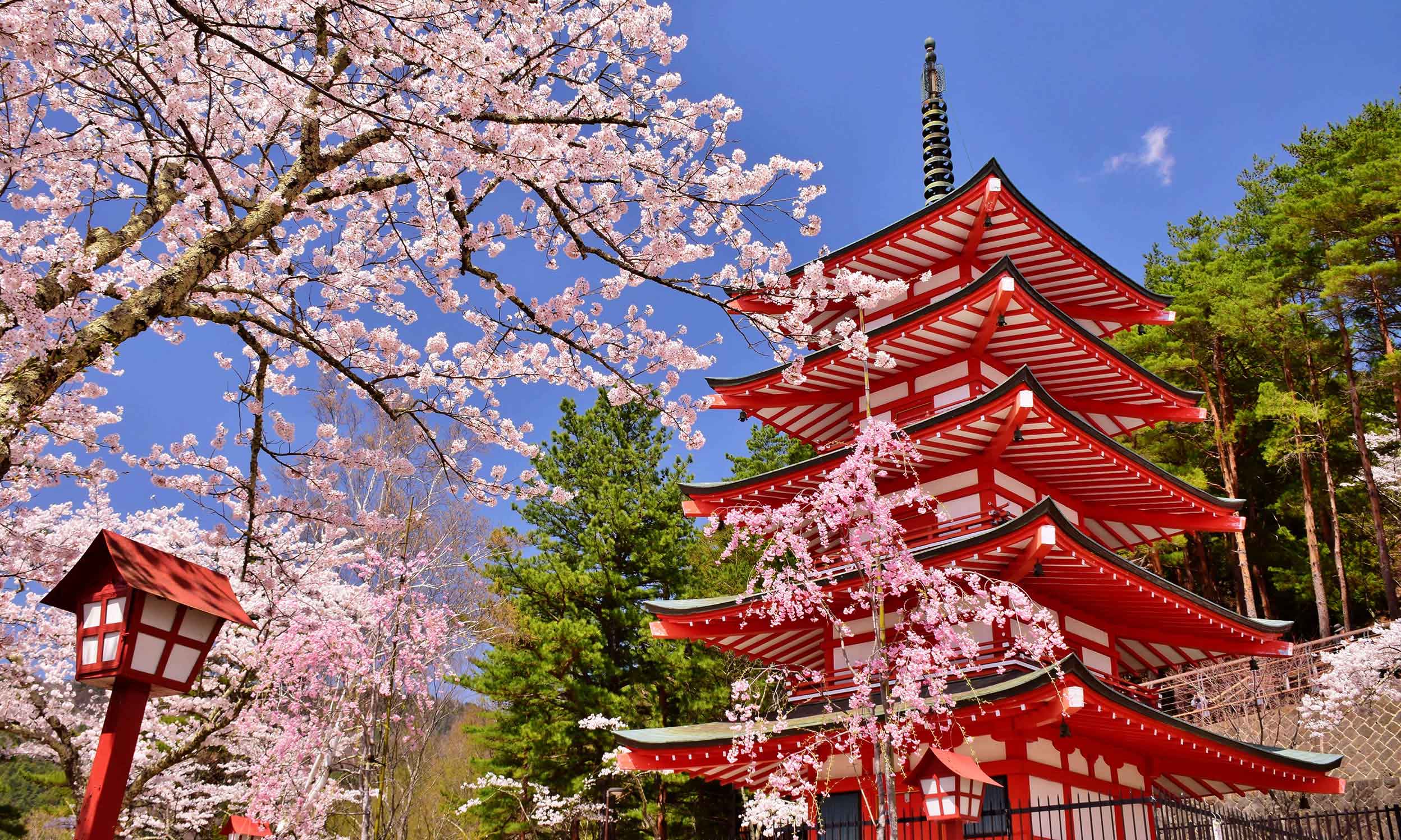 Les actions japonaises restent sous-valorisées malgré de nombreux catalyseurs