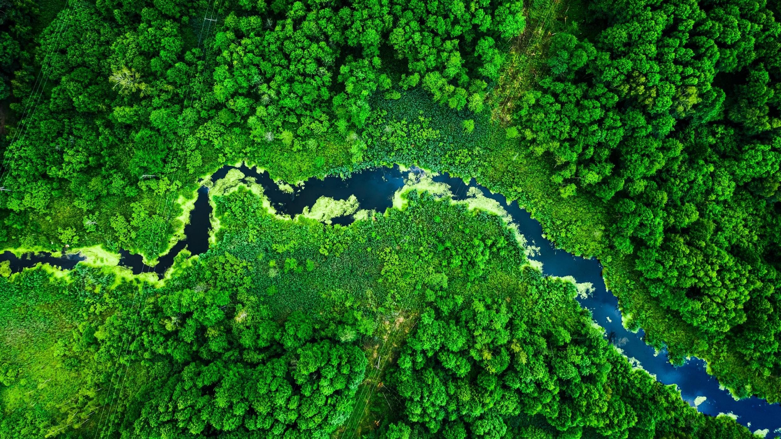 Invesco - approccio ESG