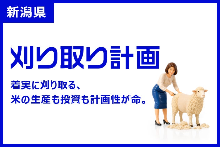 新潟県