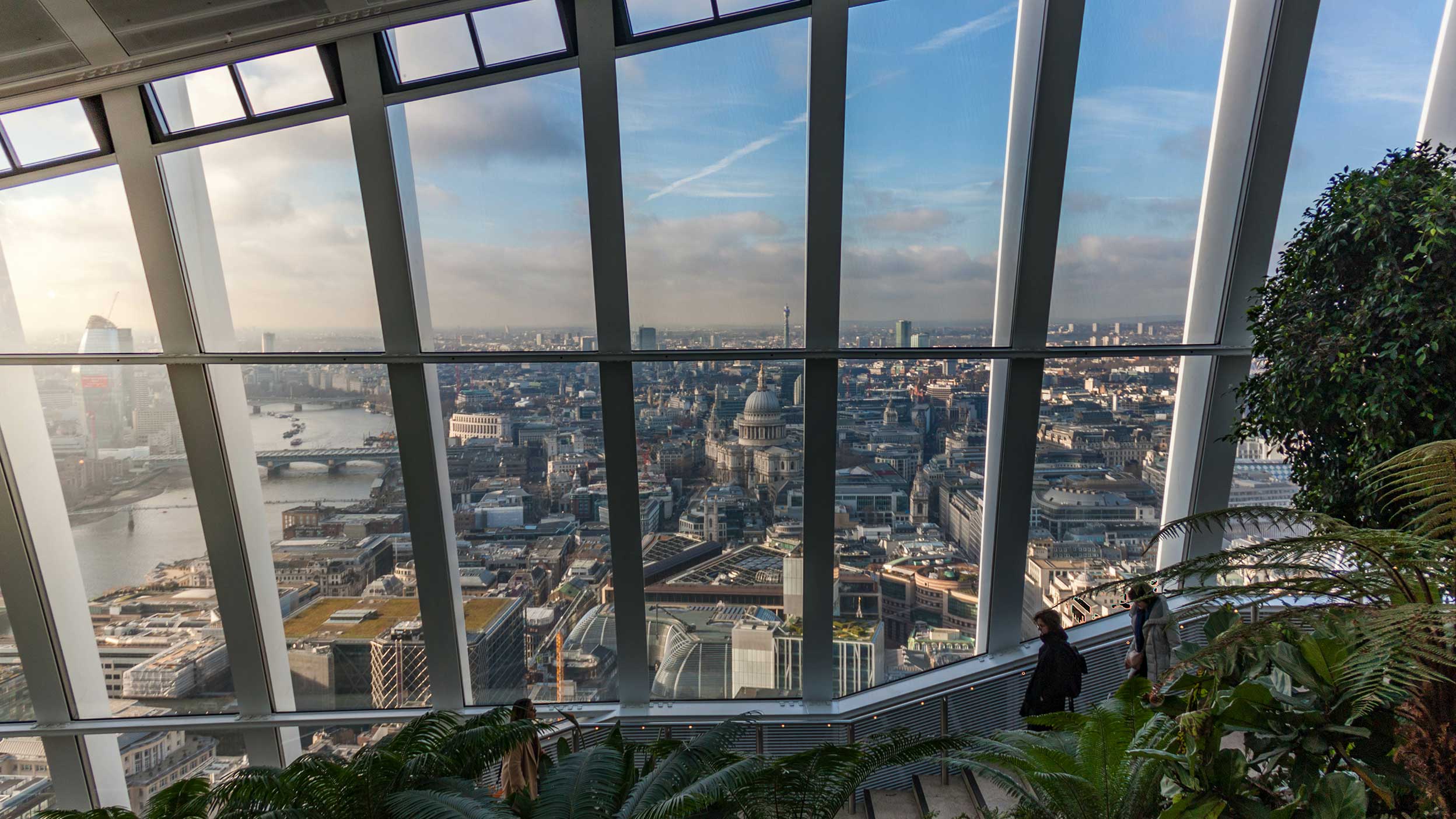 Global View 20260115