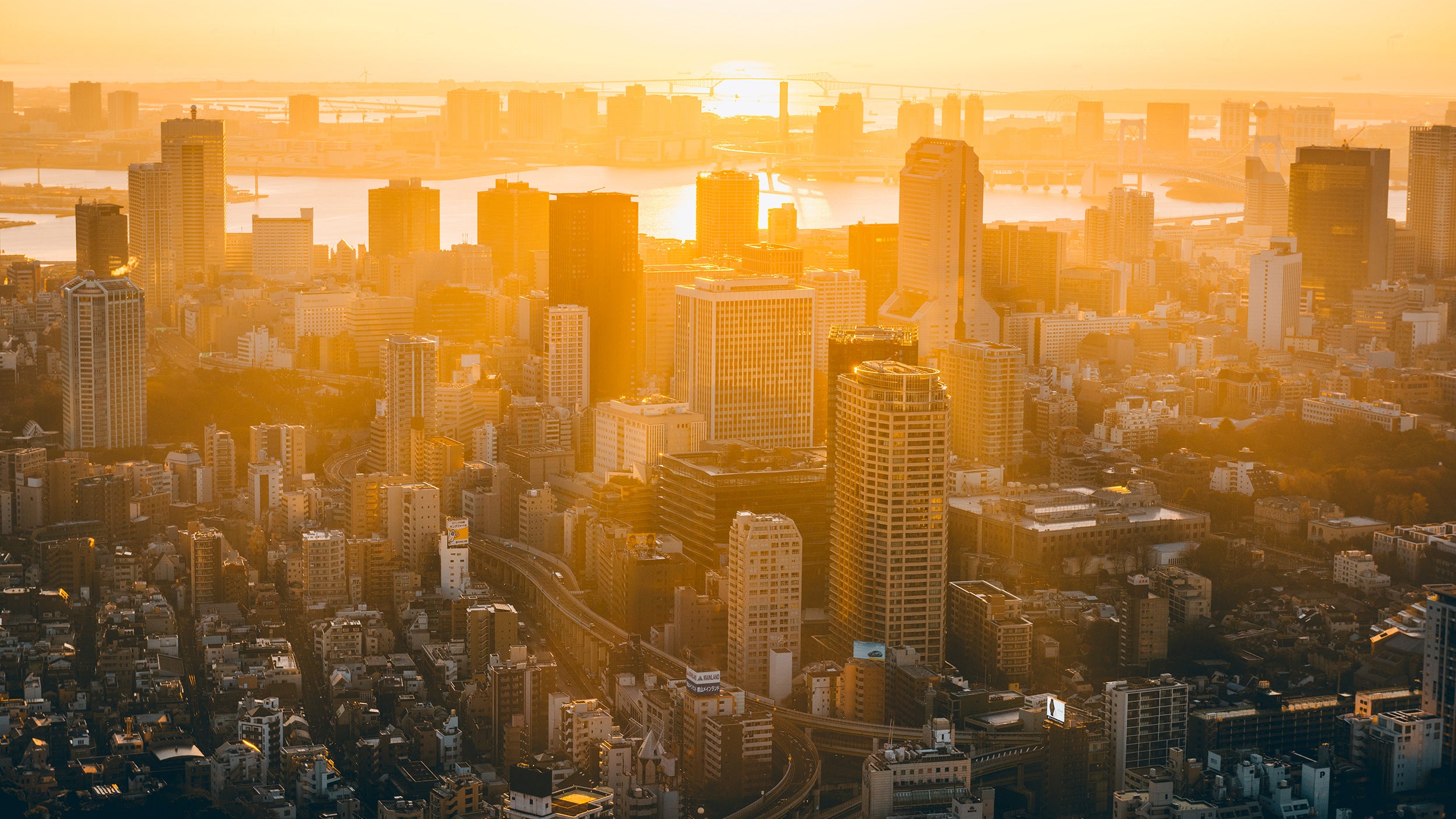 Invesco Global View