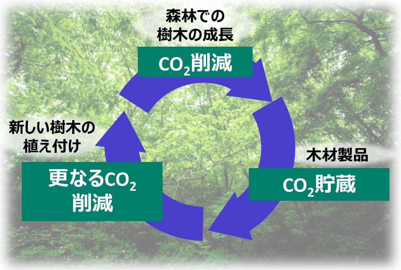 森林が生み出す循環的なCO2削減効果のイメージ図