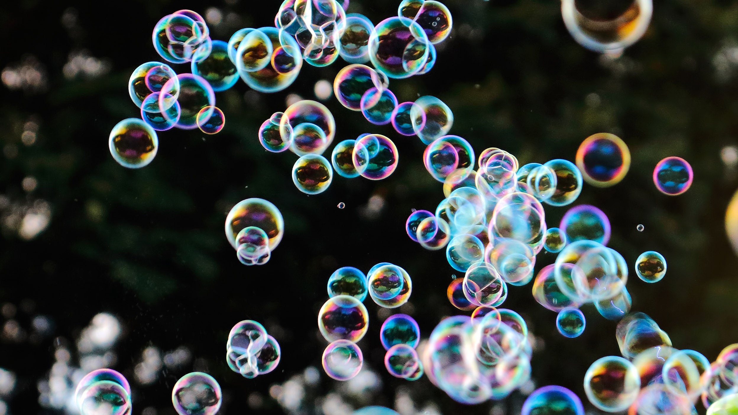 Rainbow soap bubbles from the bubble blower with trees in the background.