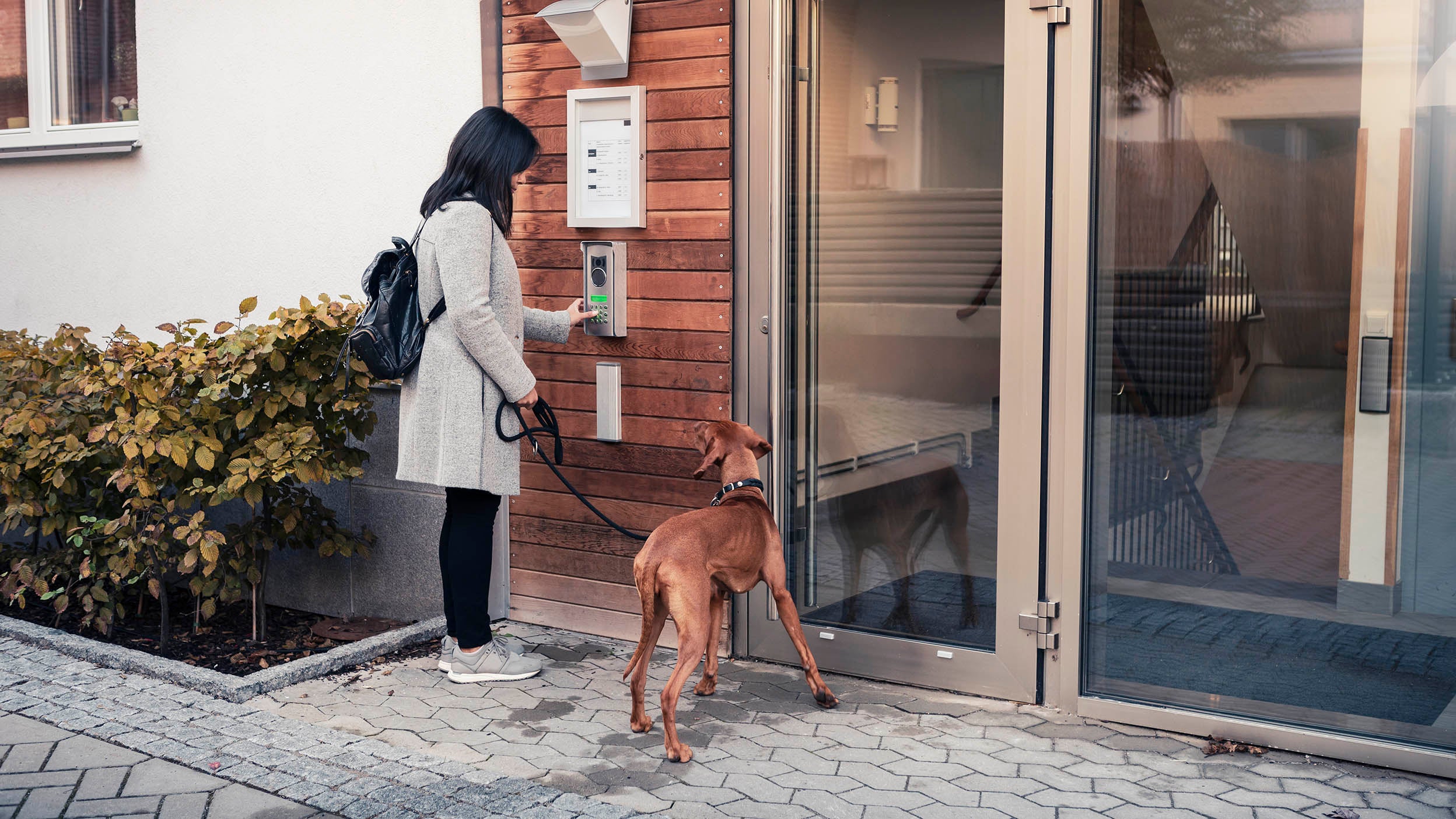 A lady with her pet