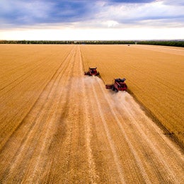 Combine%20harvester%20agriculture%20machine%20harvesting%20golden%20ripe%20wheat%20field