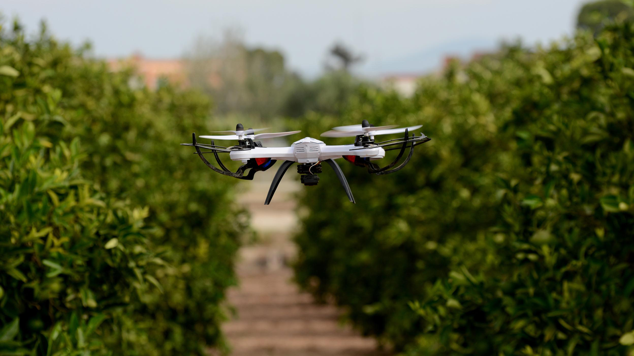 A drone flying through a field illustrates the way technology is thriving in unexpected places — including some of the underlying holdings of Invesco QQQ ETF.