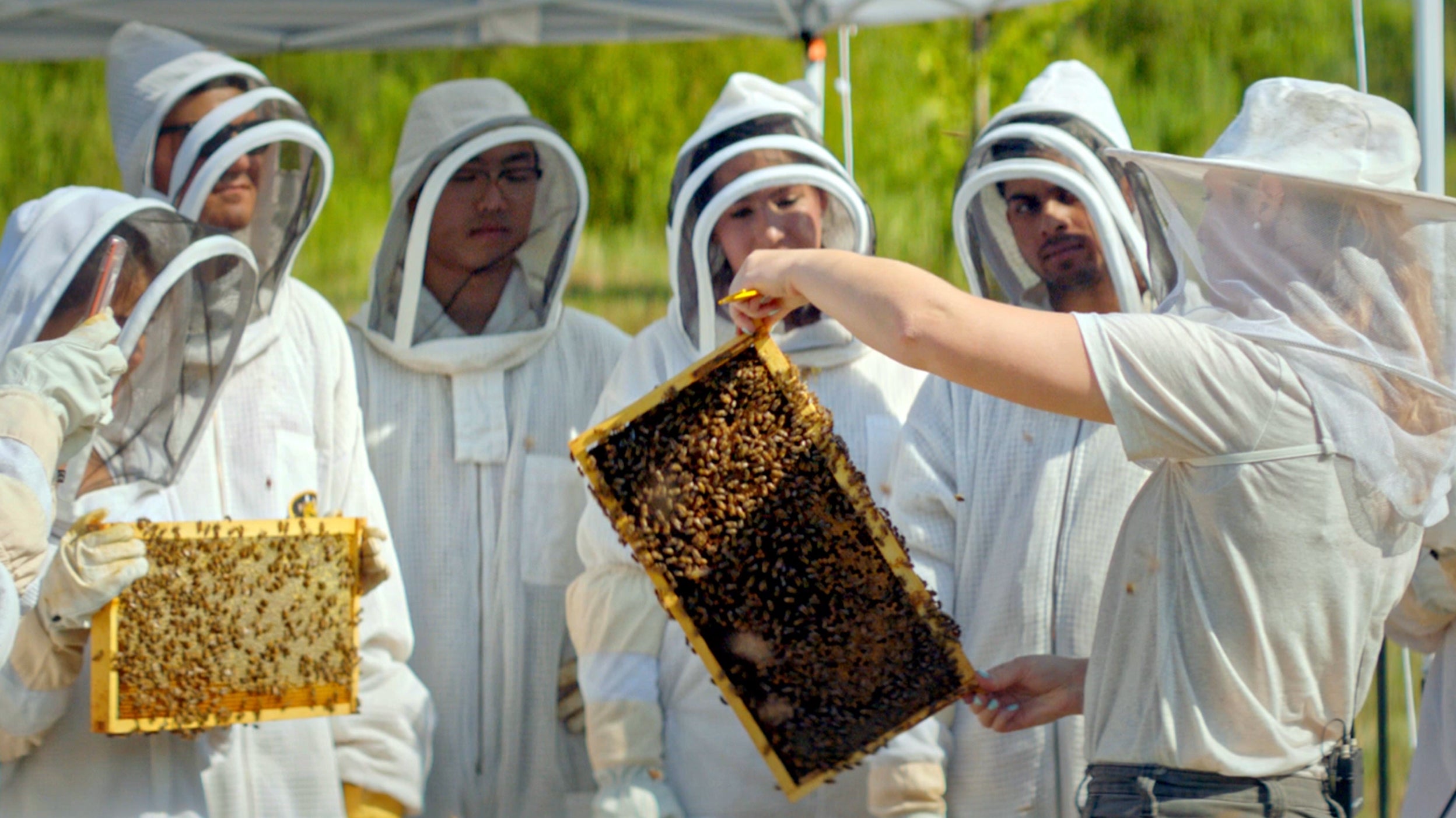 Leigh-Kathryn Bonner of Bee Downtown teaching others bees. Bee Downtown is featured in Invesco's Innovation Now series.
