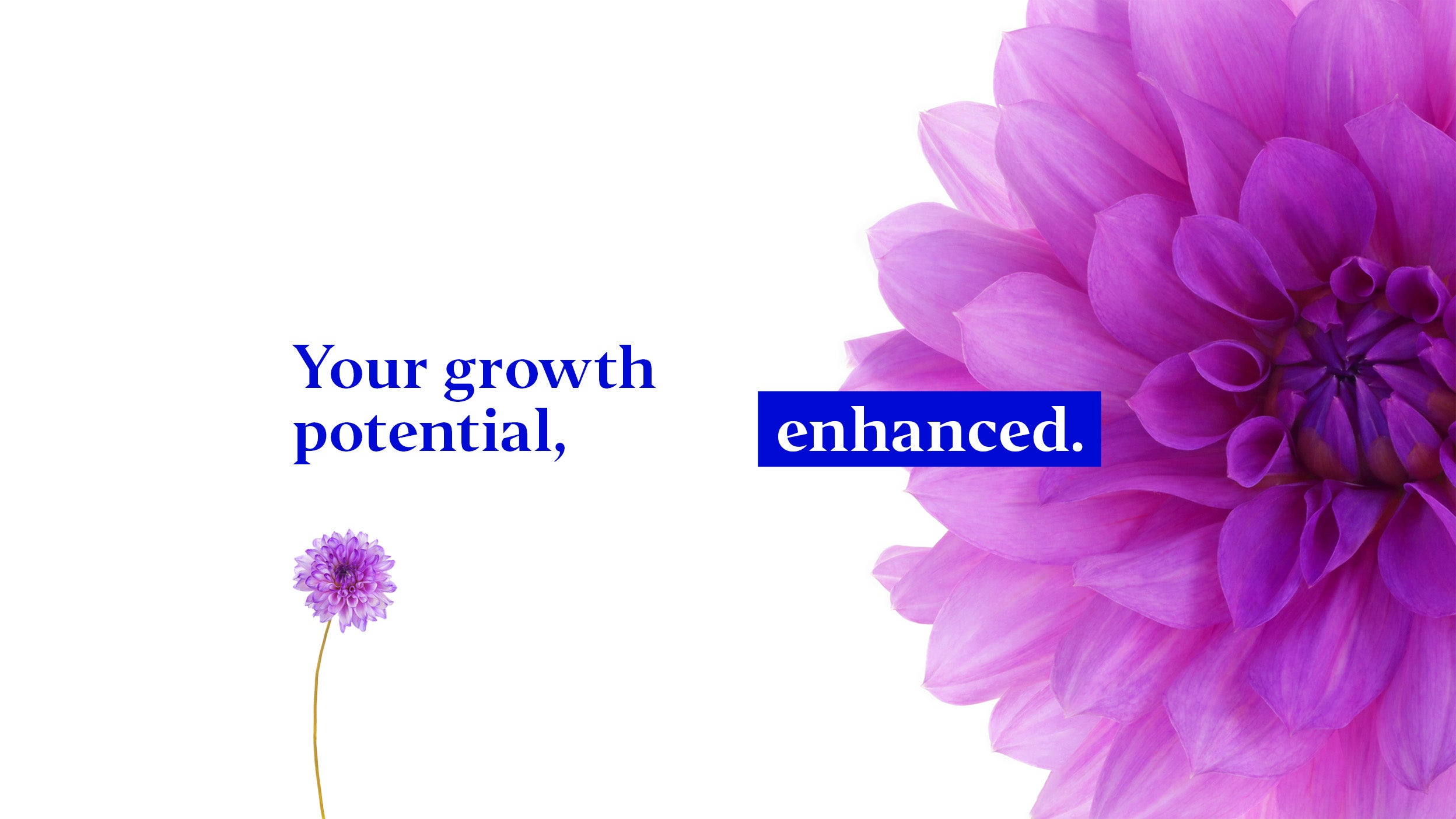 Compelling range of investment capabilities Invesco Switzerland