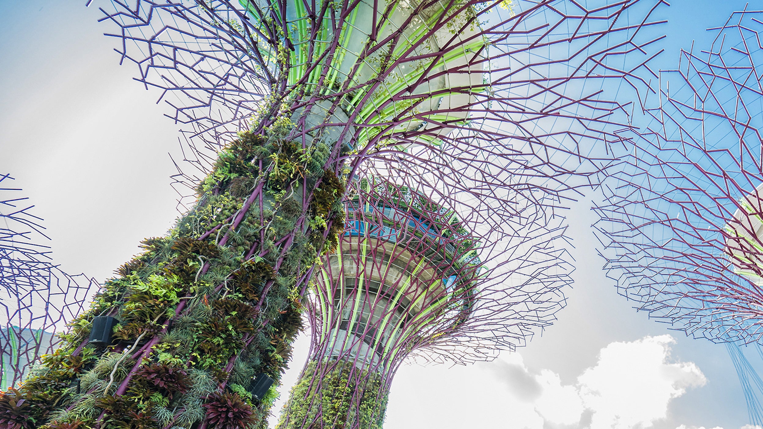 Invesco Asia Dragon Trust