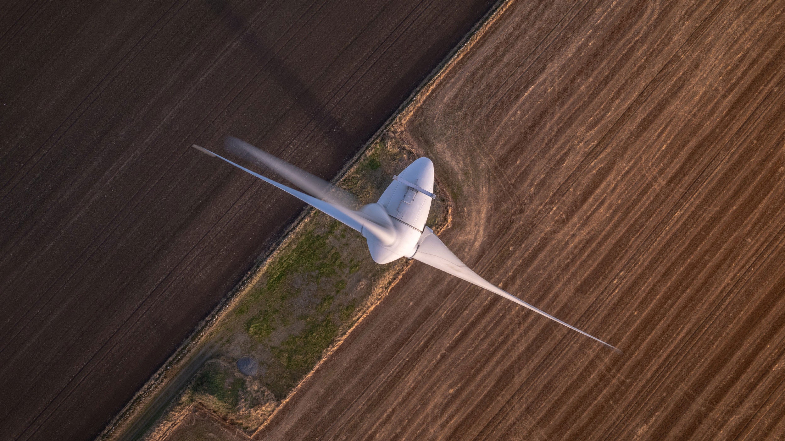 A greener tomorrow: Invesco’s ECO Bond Fund