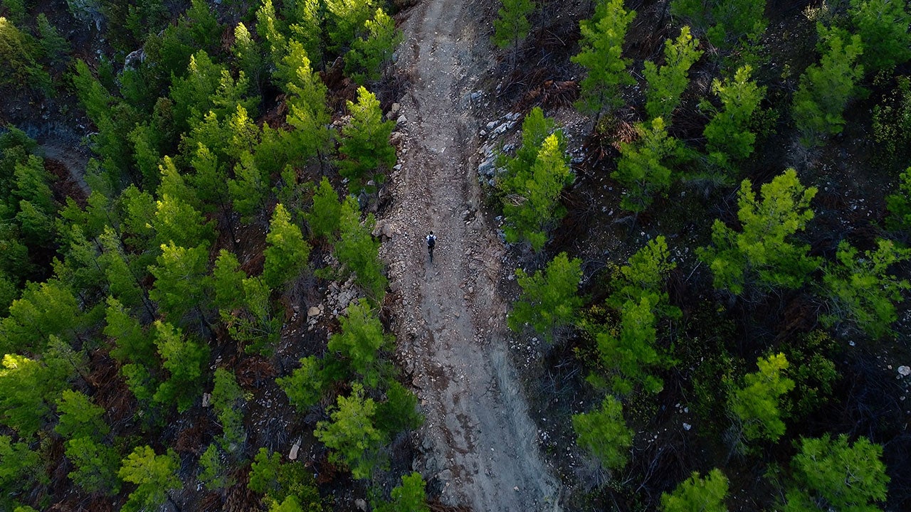 Invesco Climate Change Report 2019