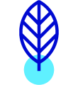 Icon of leaf