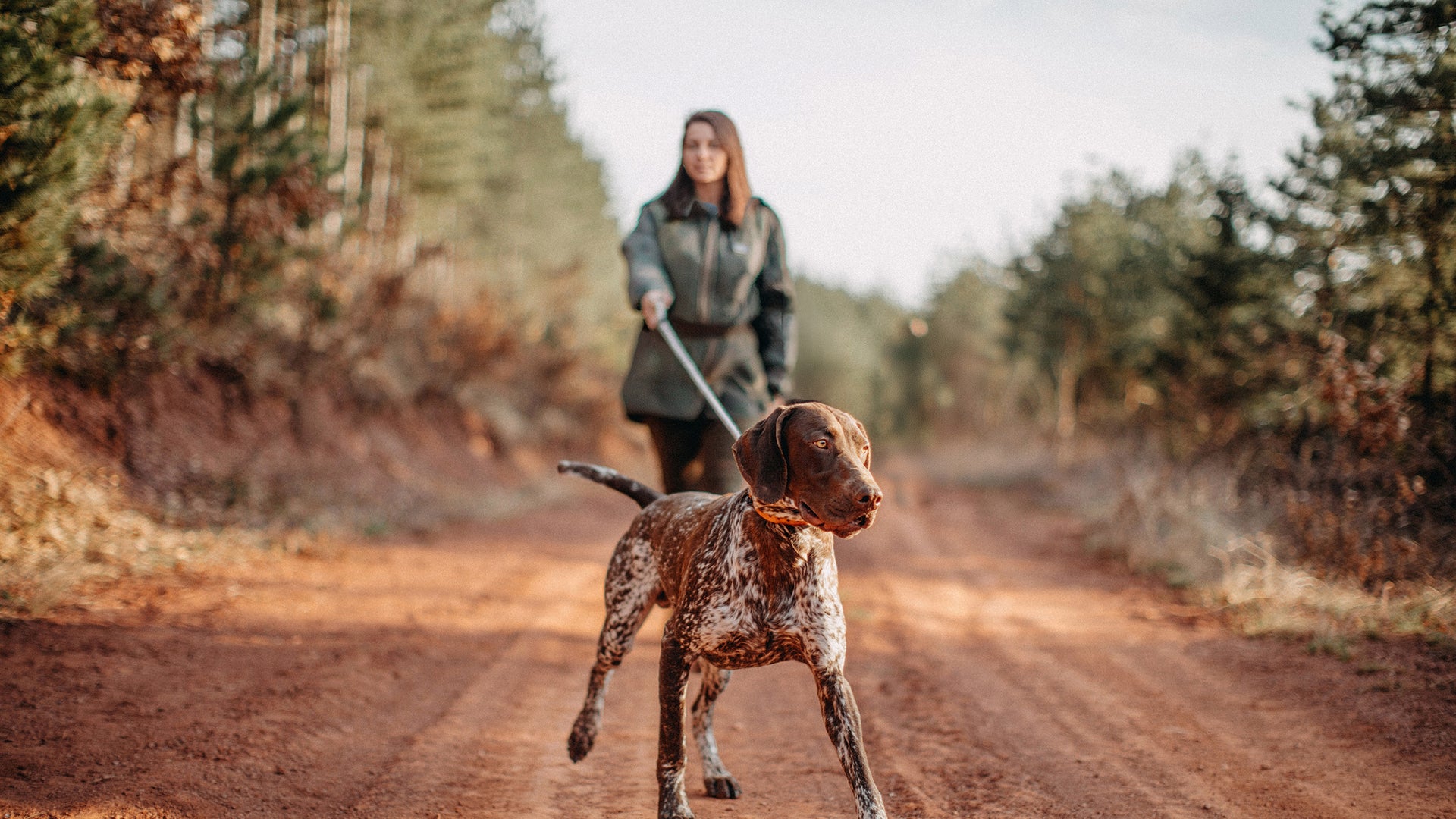 Dog standing on a dirt trail while being walked by a person