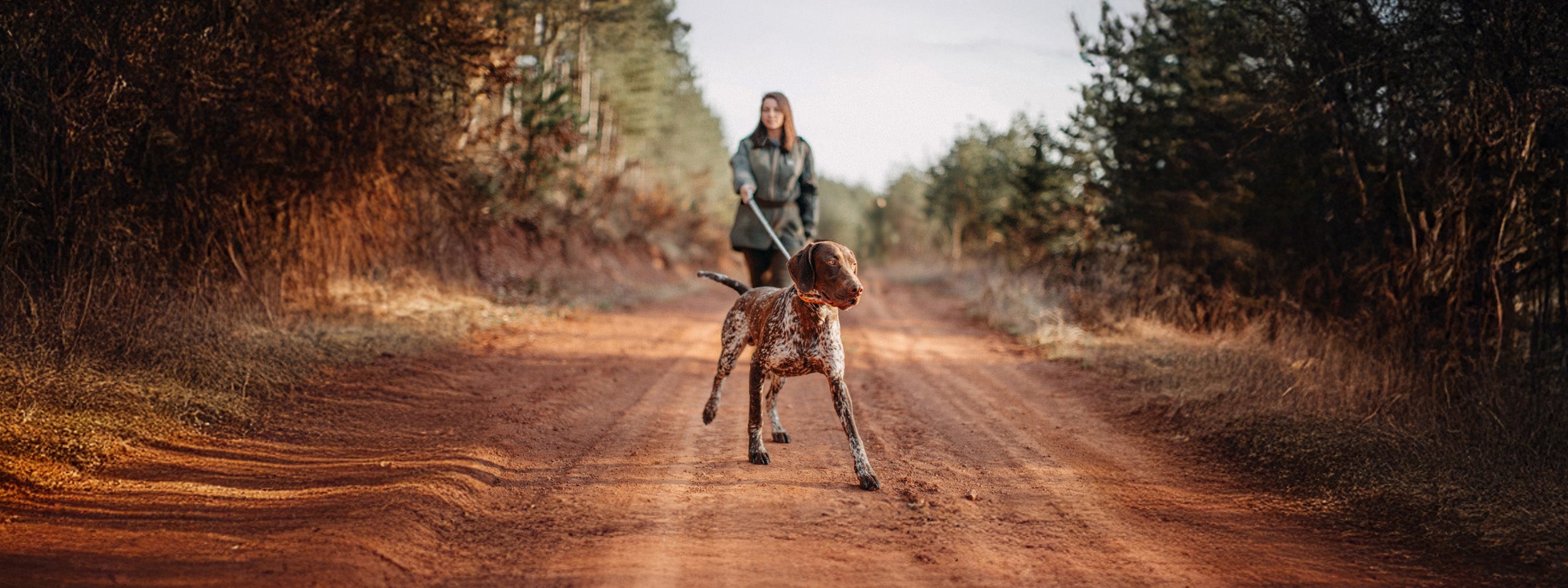 Dog standing on a dirt trail while being walked by a person