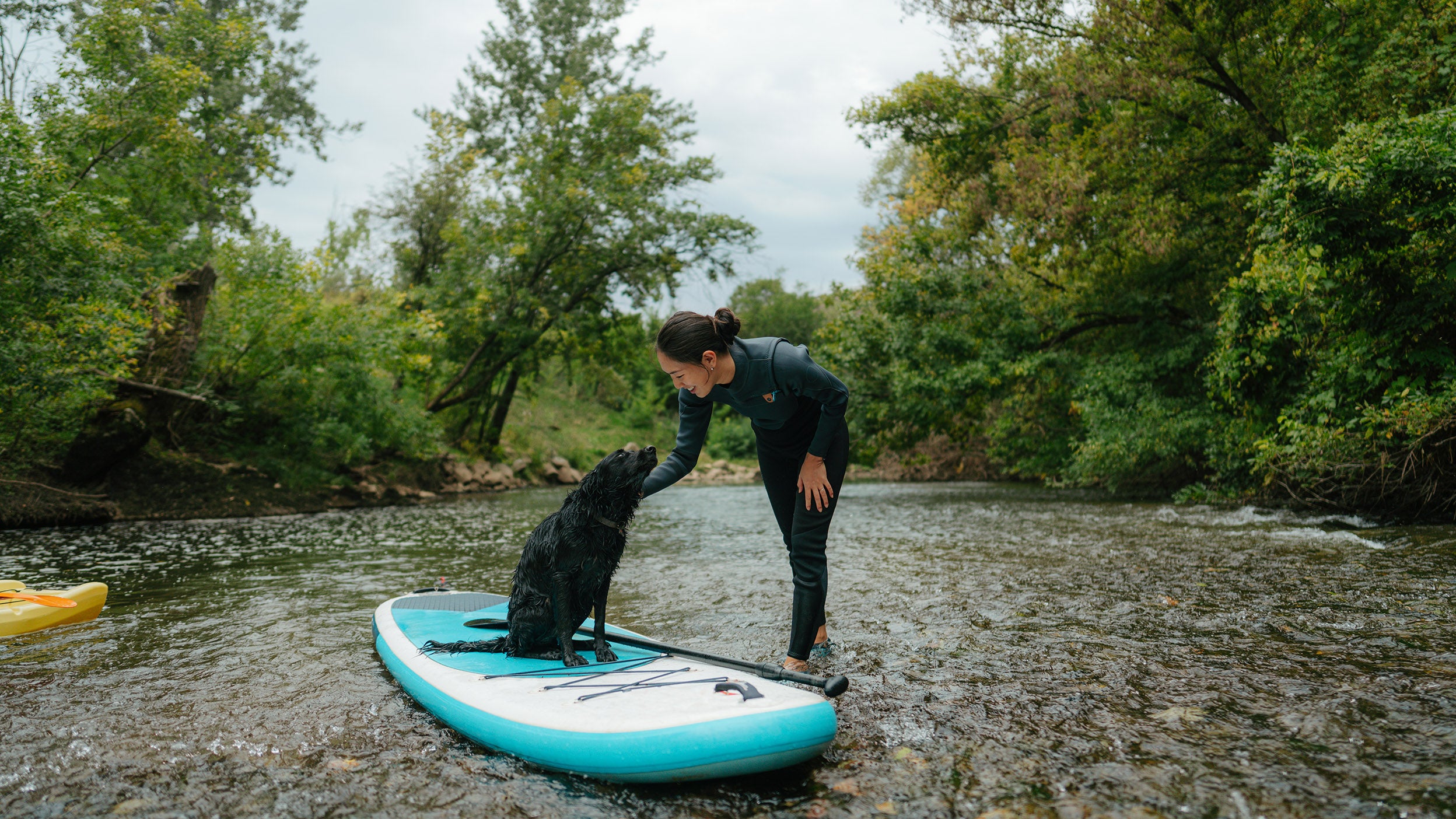 Person on a paddleboard with a dog in a shallow river