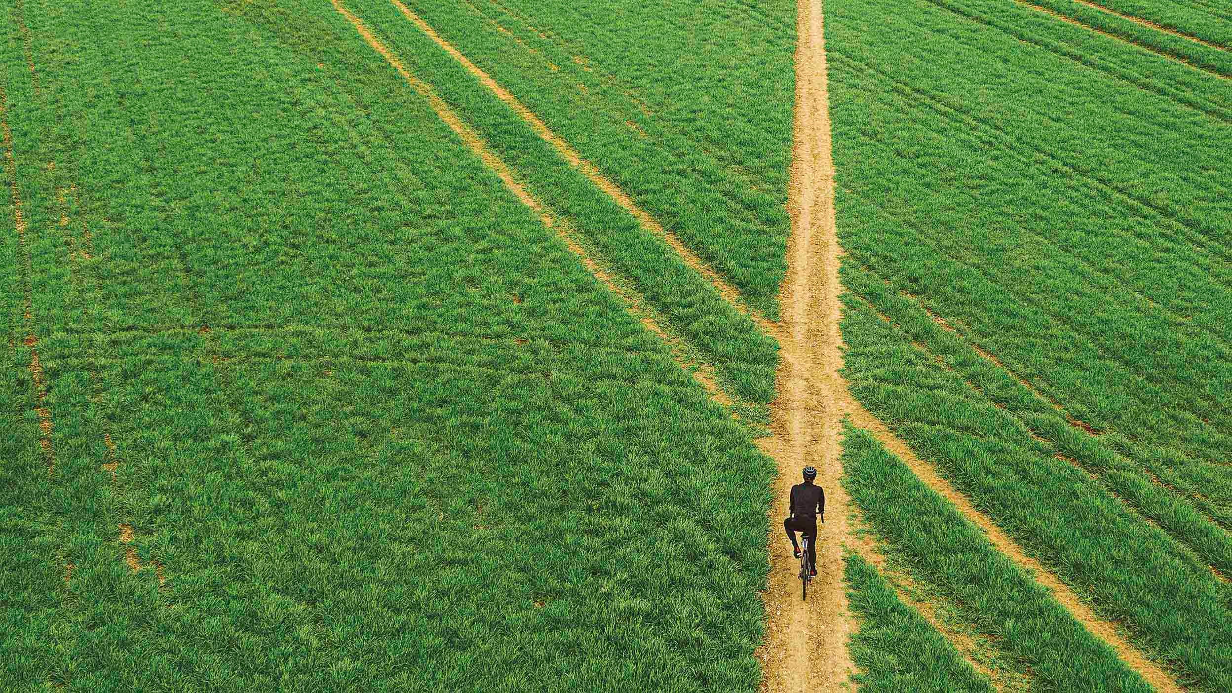 cyclist at crossroads in grassy field