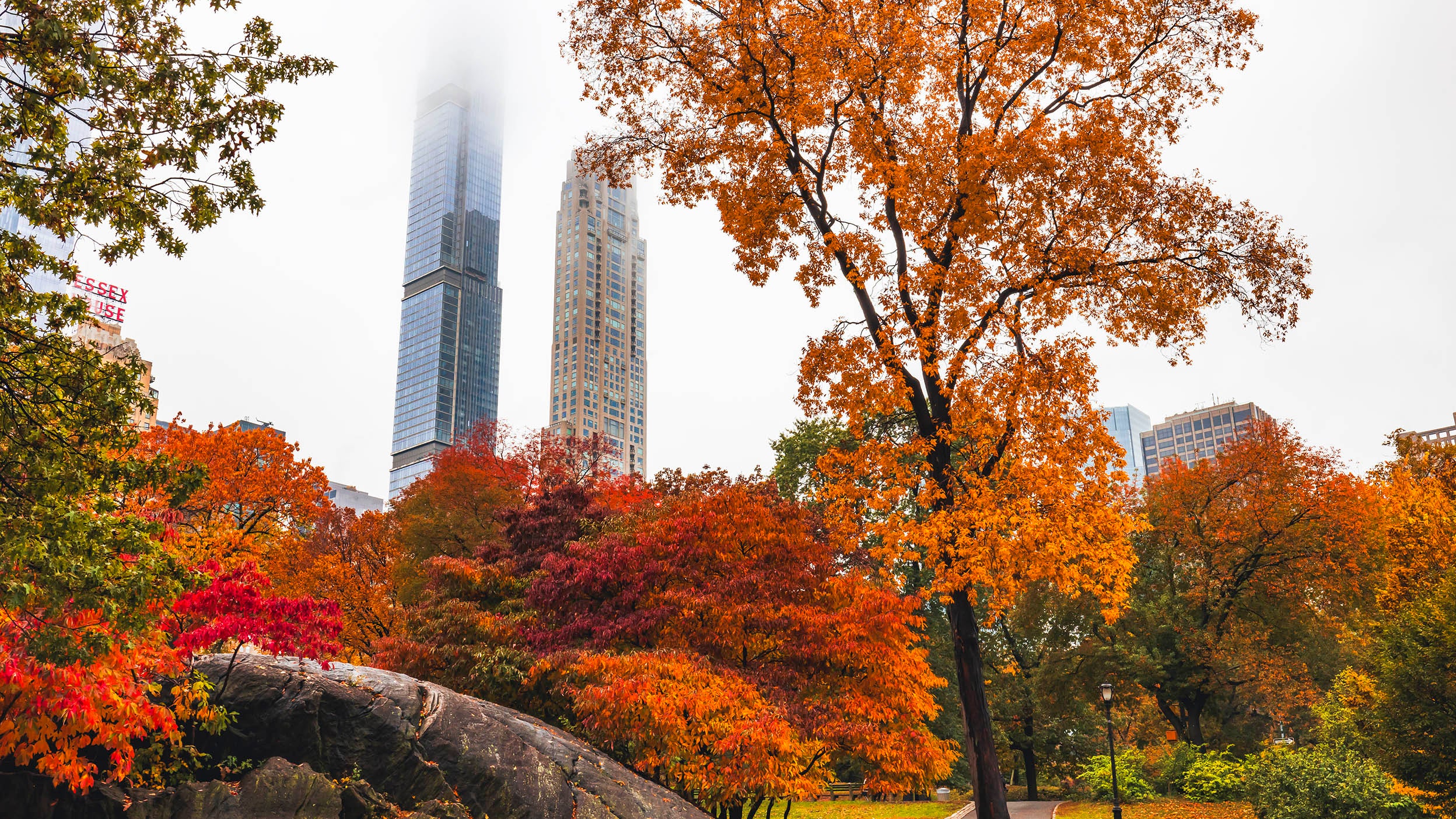 View of Central Park in Manhattan during its peak of foliage in autumn with skyscrapers in the fog