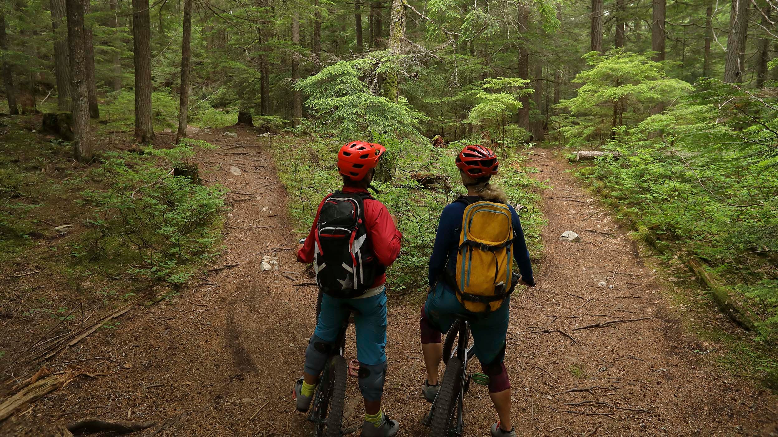 Two kids biking in the forest