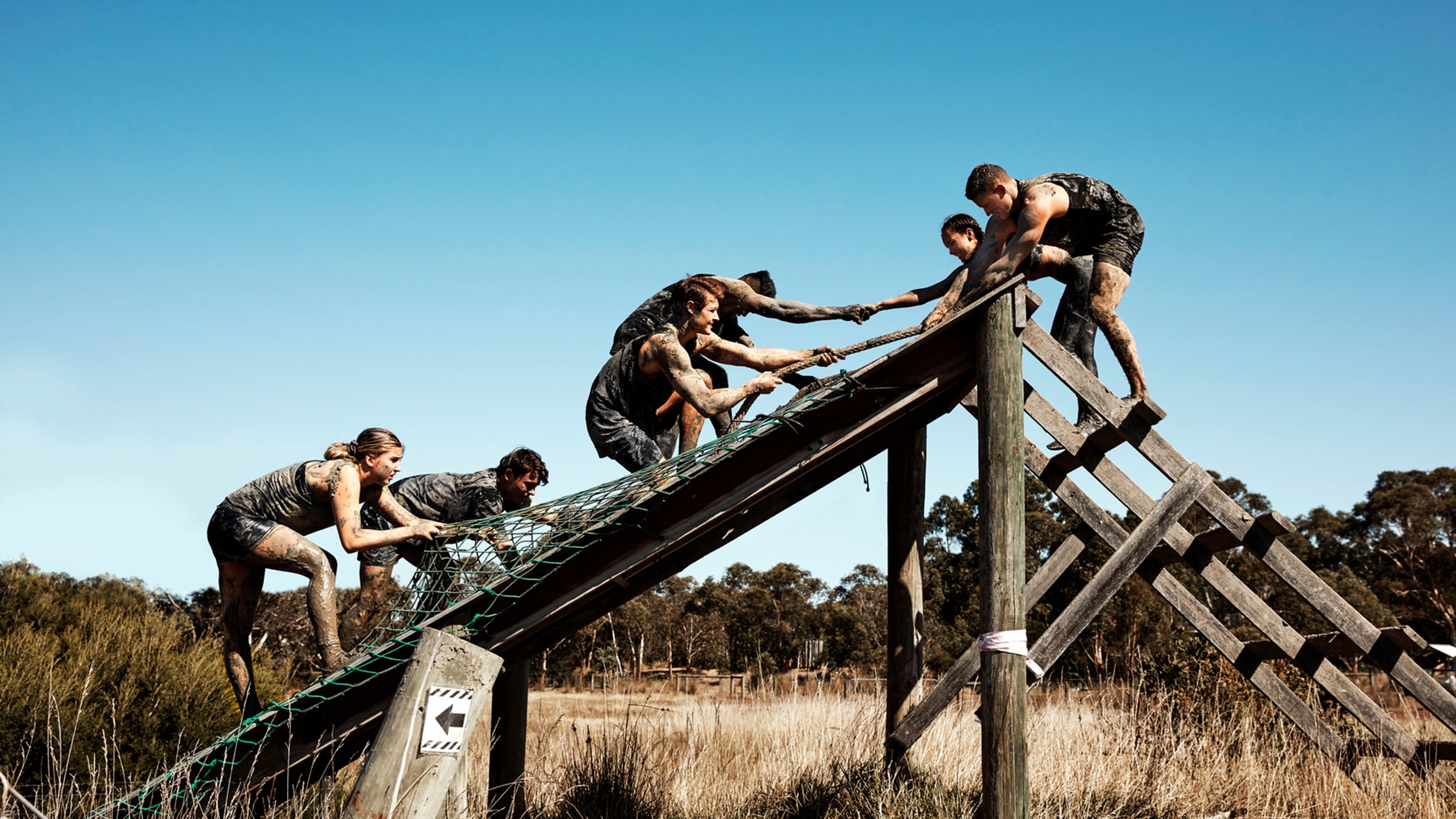 Building a foundation for successful teams