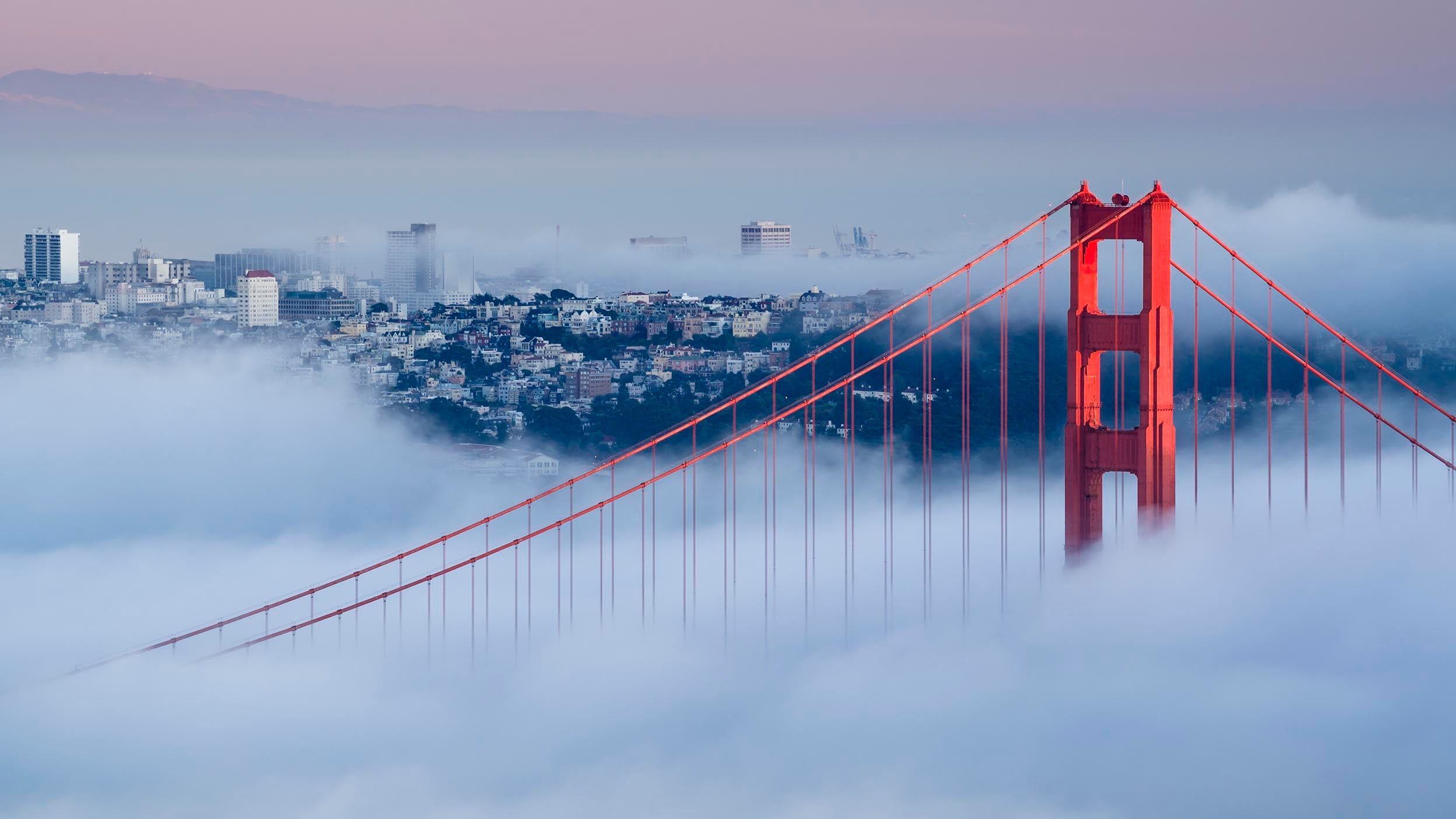 Alternatives can help advisors stand out from their competitors