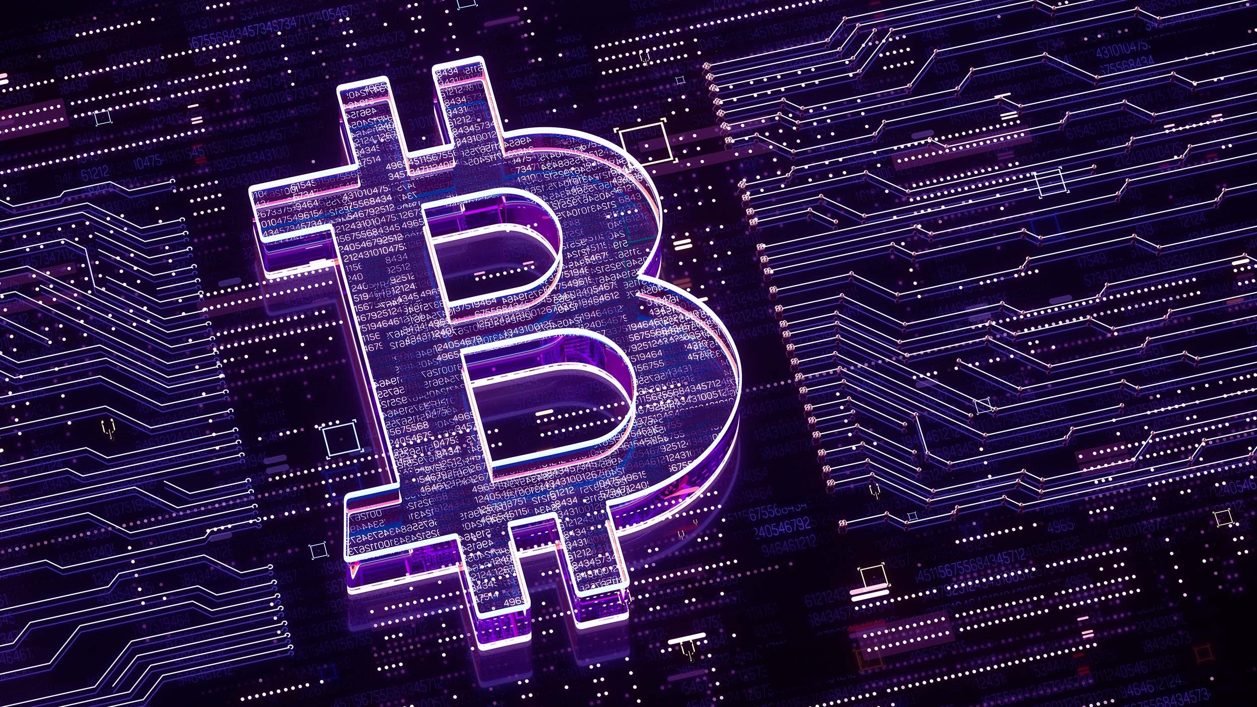 Purple bitcoin logo on a computer circuit board
