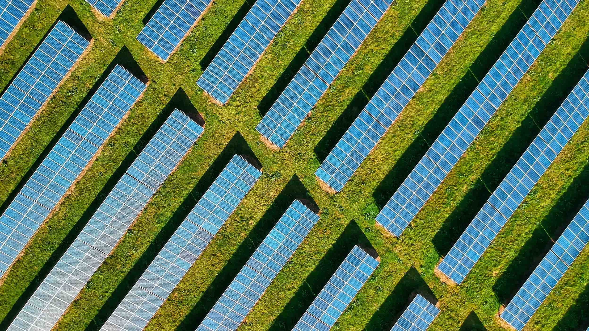 Green field with solar panels