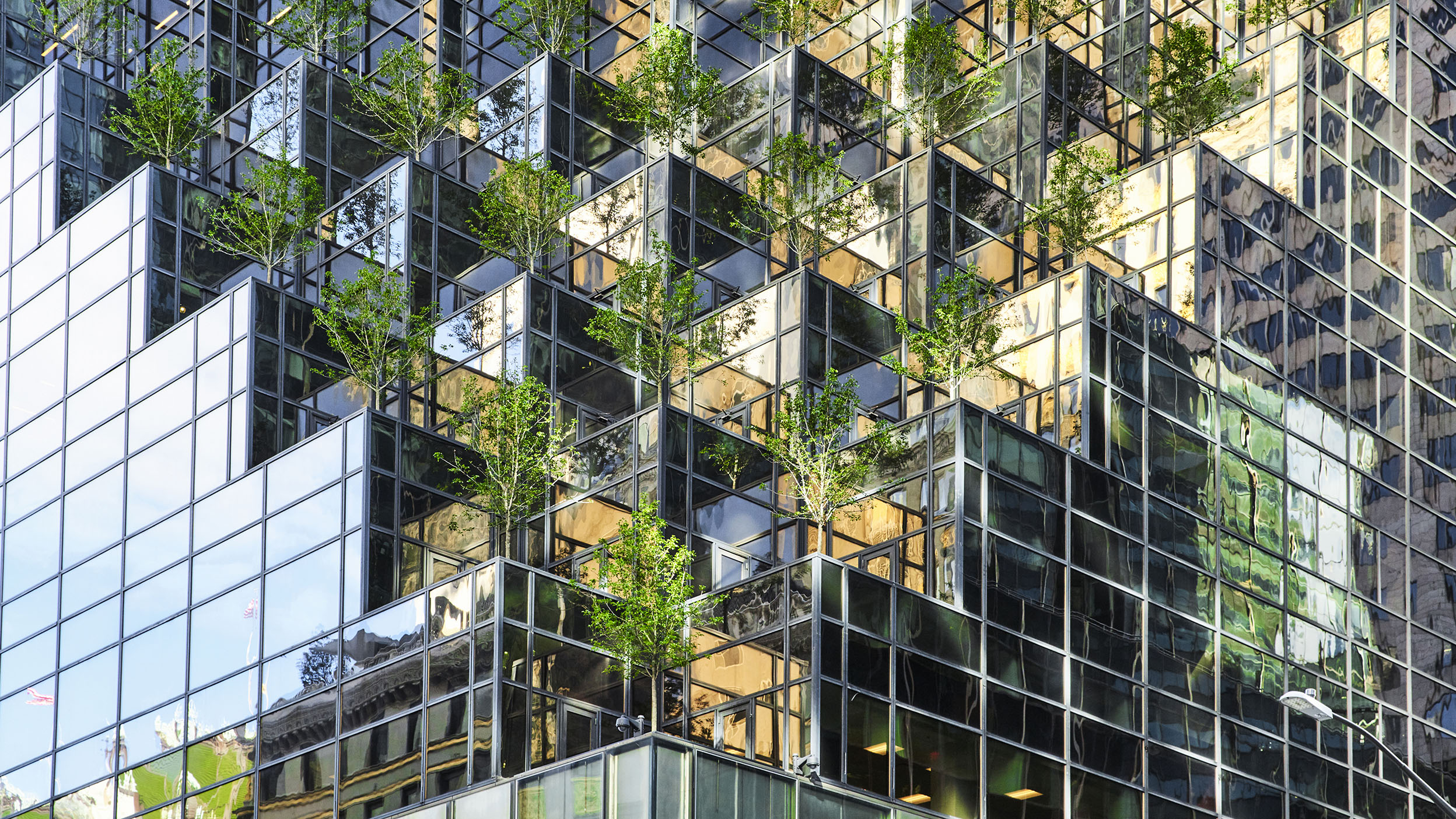 Building with trees on it
