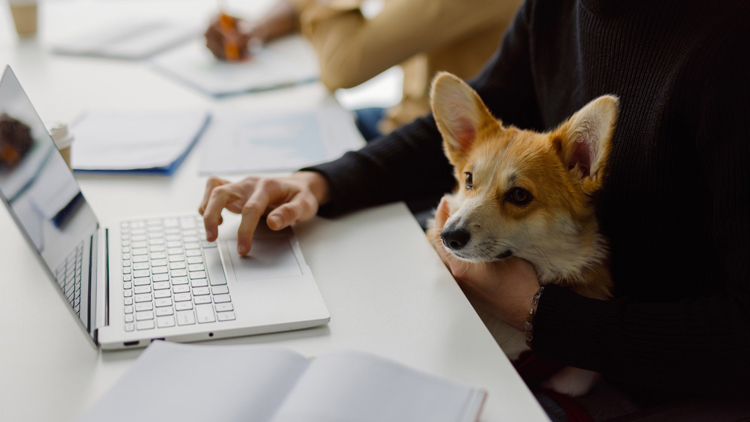 Making retirement income work part 3: Combating inertia with auto-enrollment