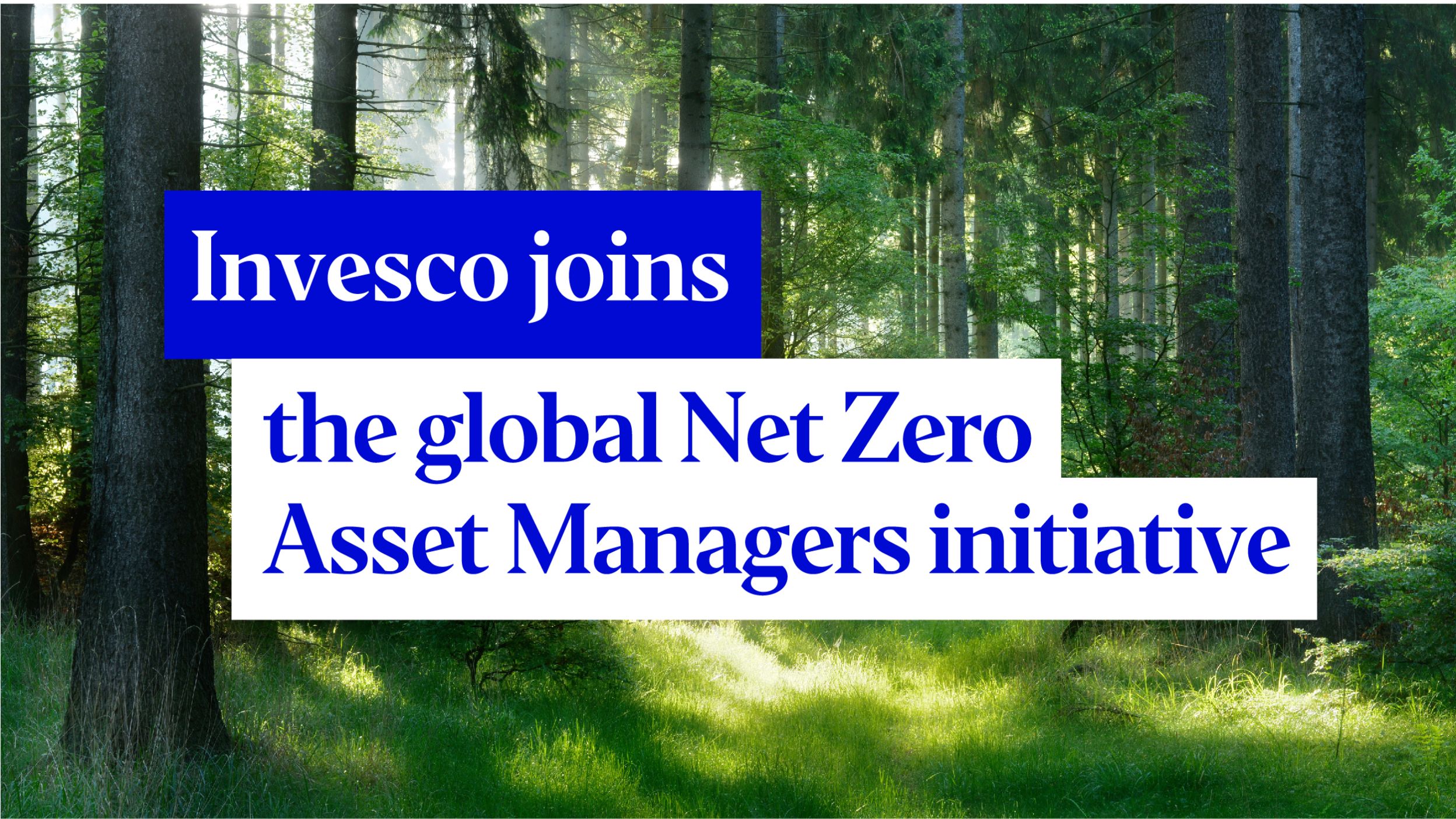 Global net zero