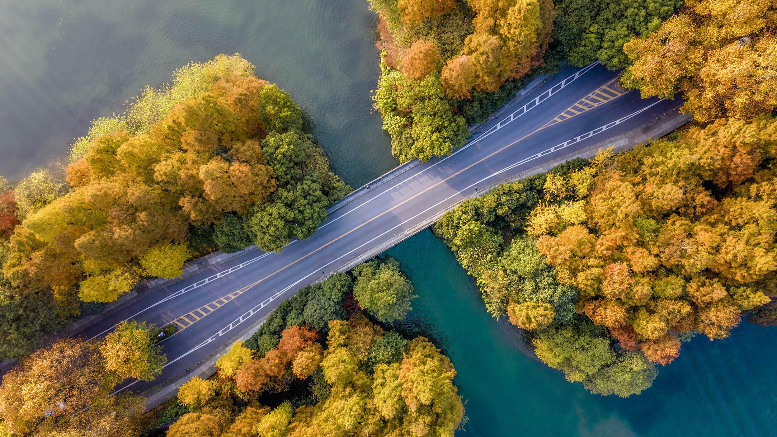 Aerial view of a bridge crossing a river surrounded by autumn trees.