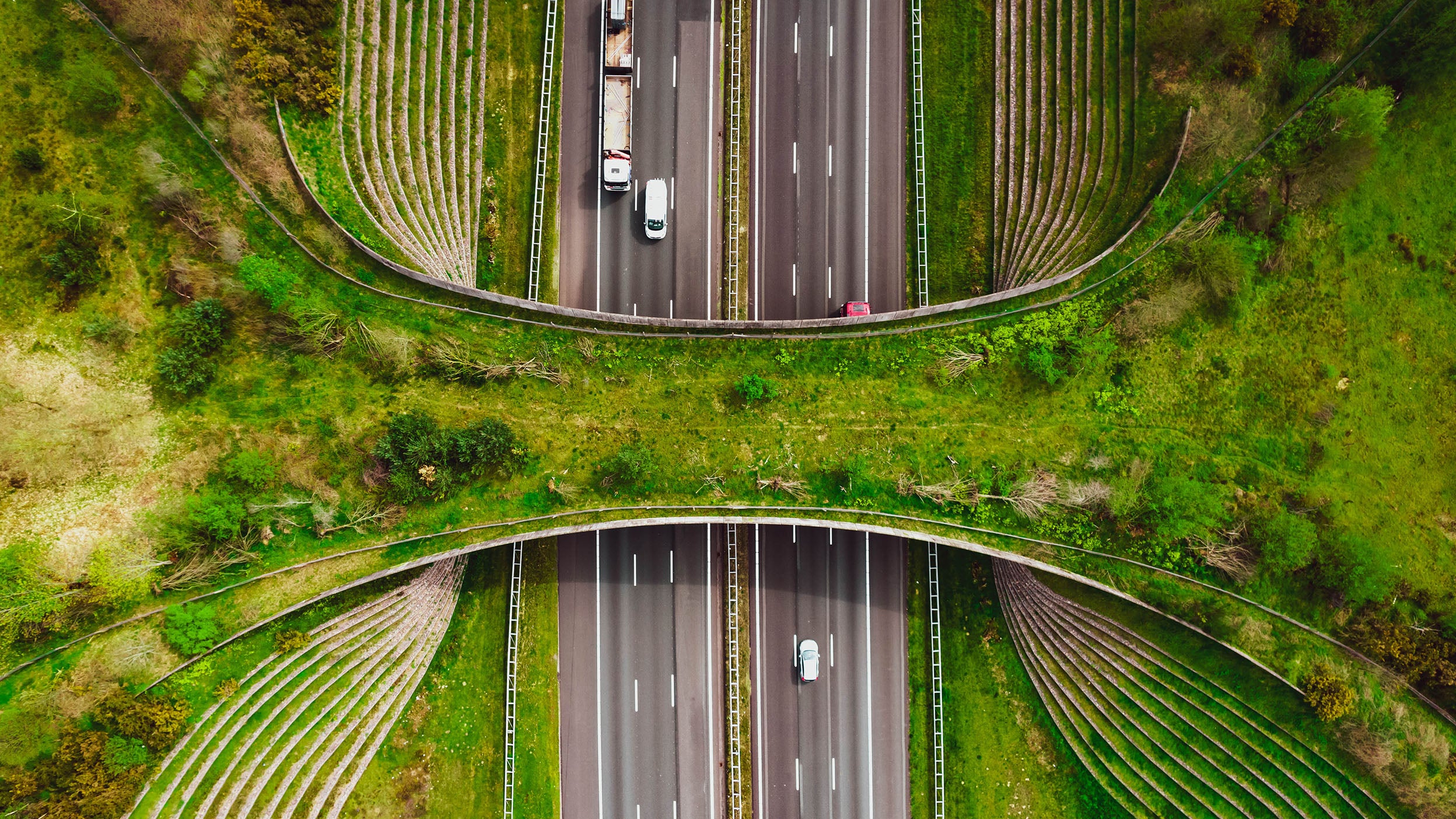 A wide, hourglass-shaped overpass covered in dense green grass and shrubs.