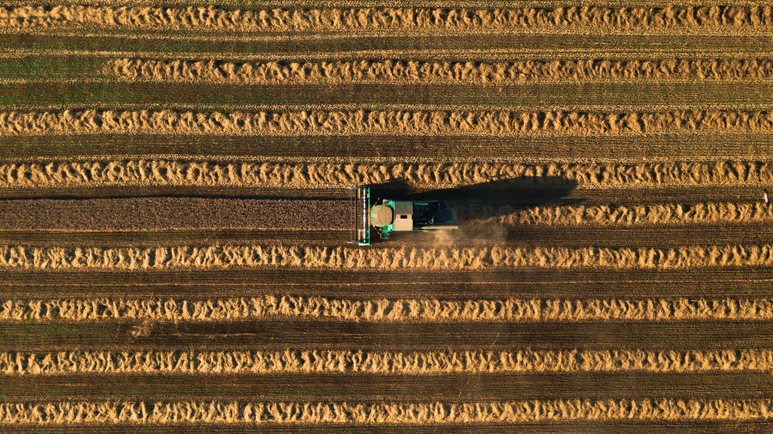 Tax loss harvesting: Your investment losses could lower your tax bill