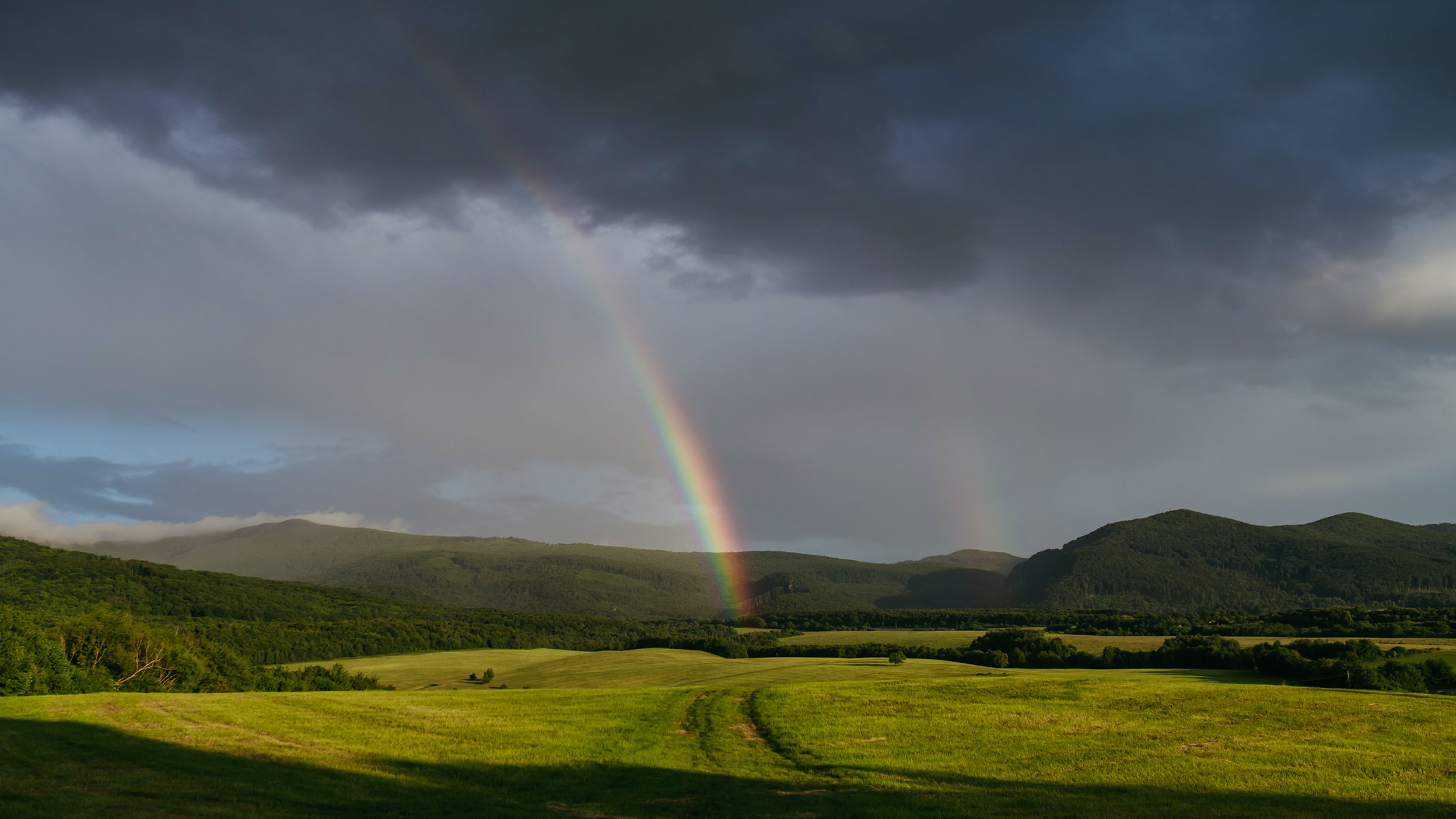 Rainbow and storm clouds over a green field