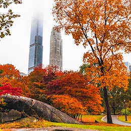 View%20of%20Central%20Park%20in%20Manhattan%20during%20its%20peak%20of%20foliage%20in%20autumn%20with%20skyscrapers%20in%20the%20fog
